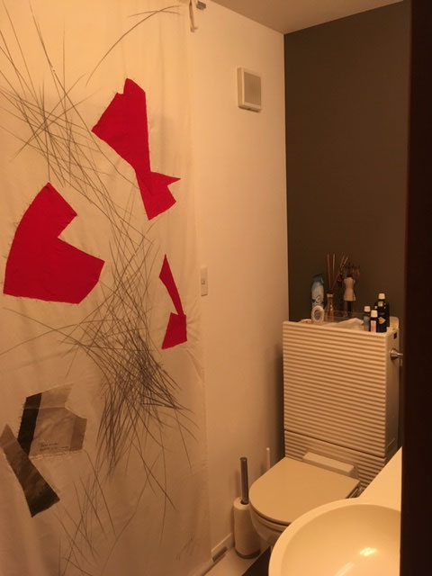 8gi house toilet