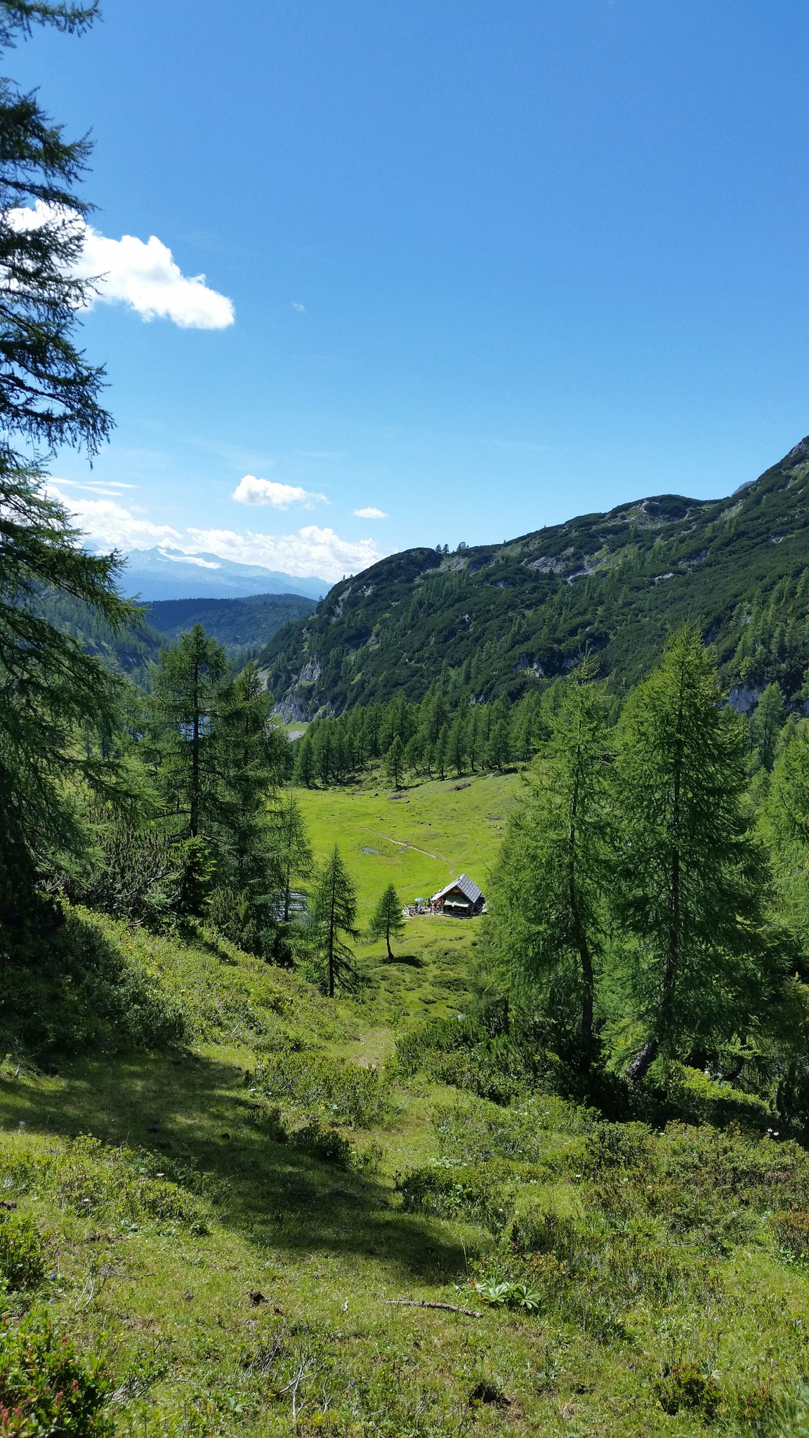 Blick auf die Leistalm