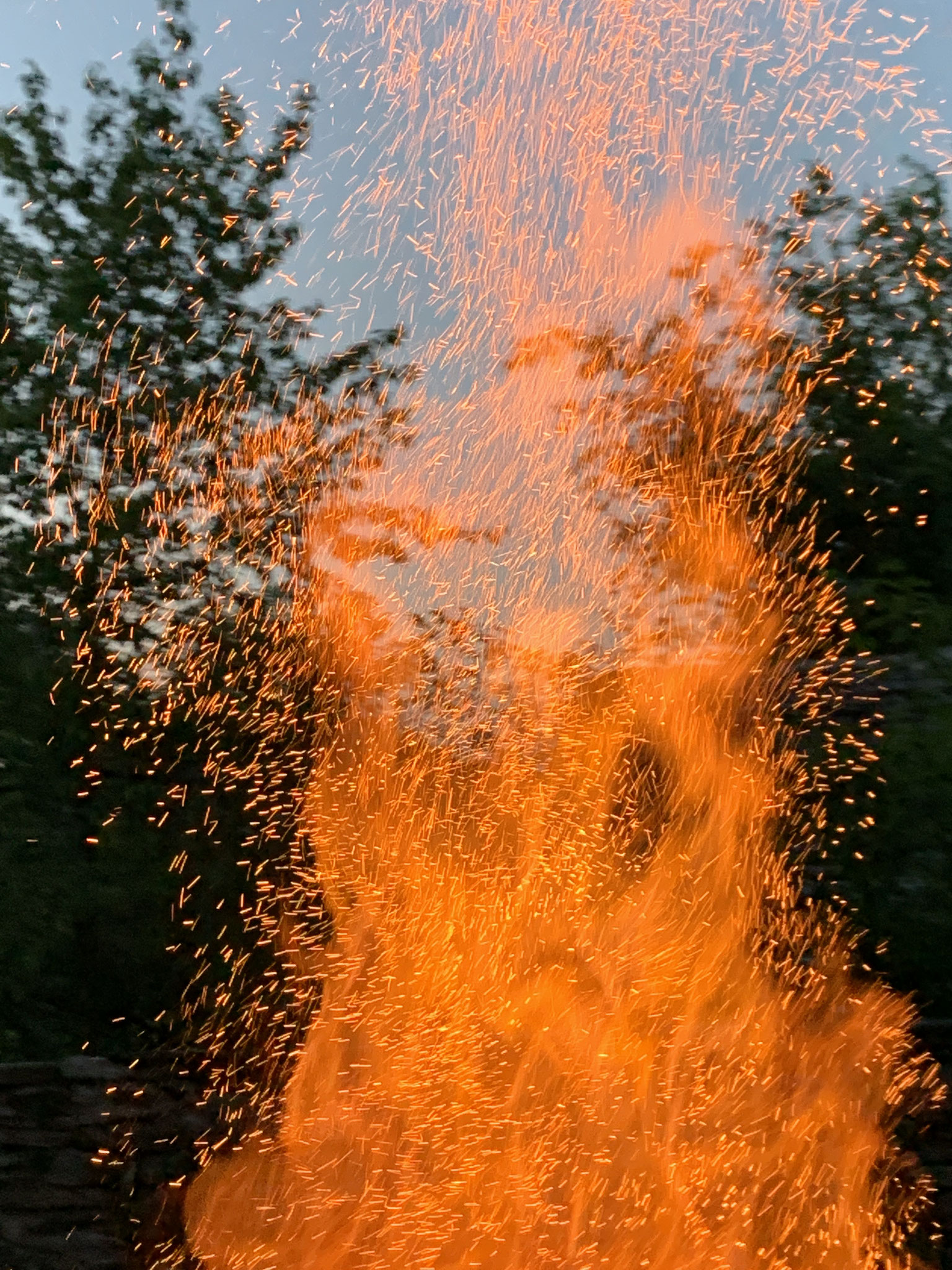 RAKU - Process