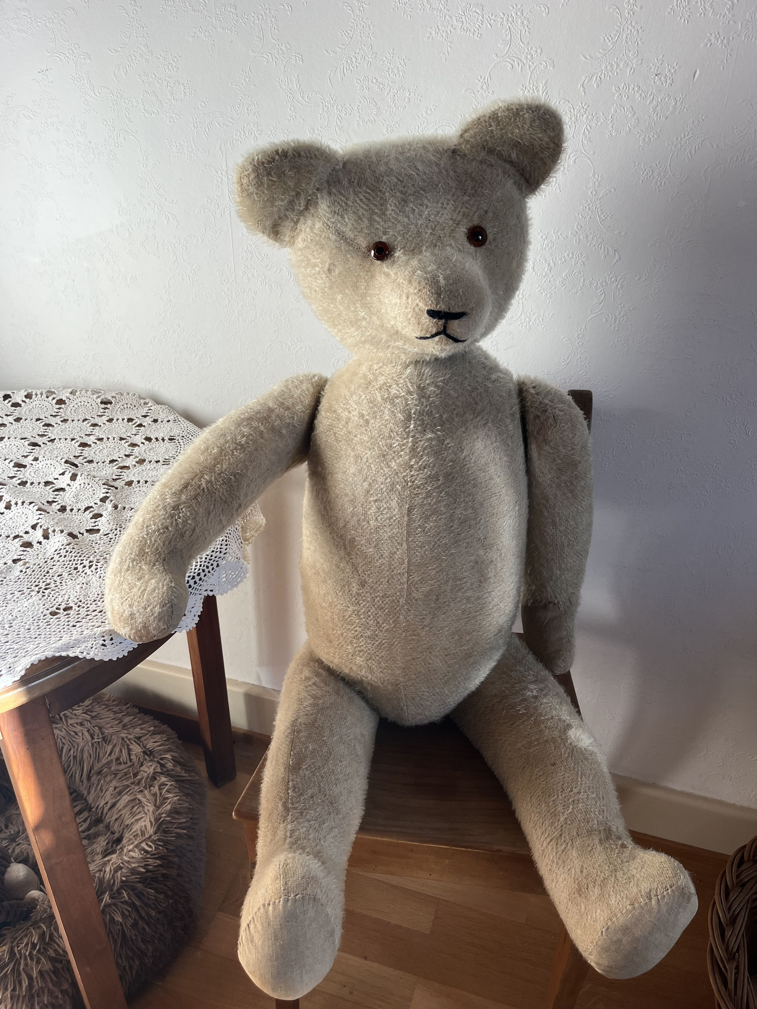 Bär Fridolin neu gestopft