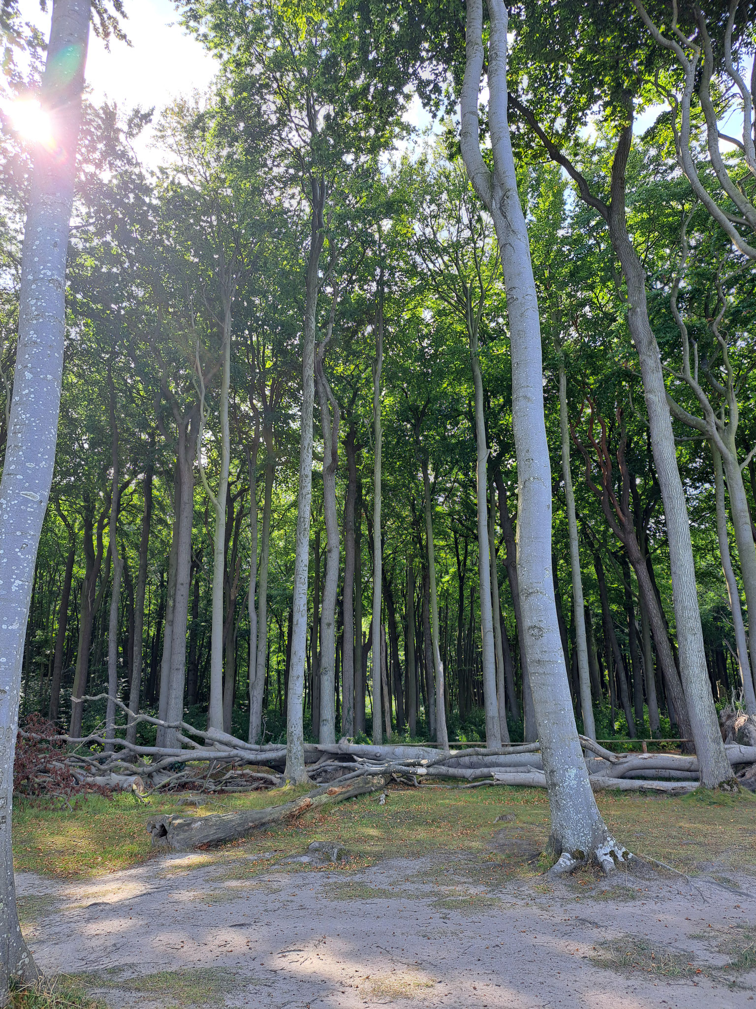 GEISTERWALD