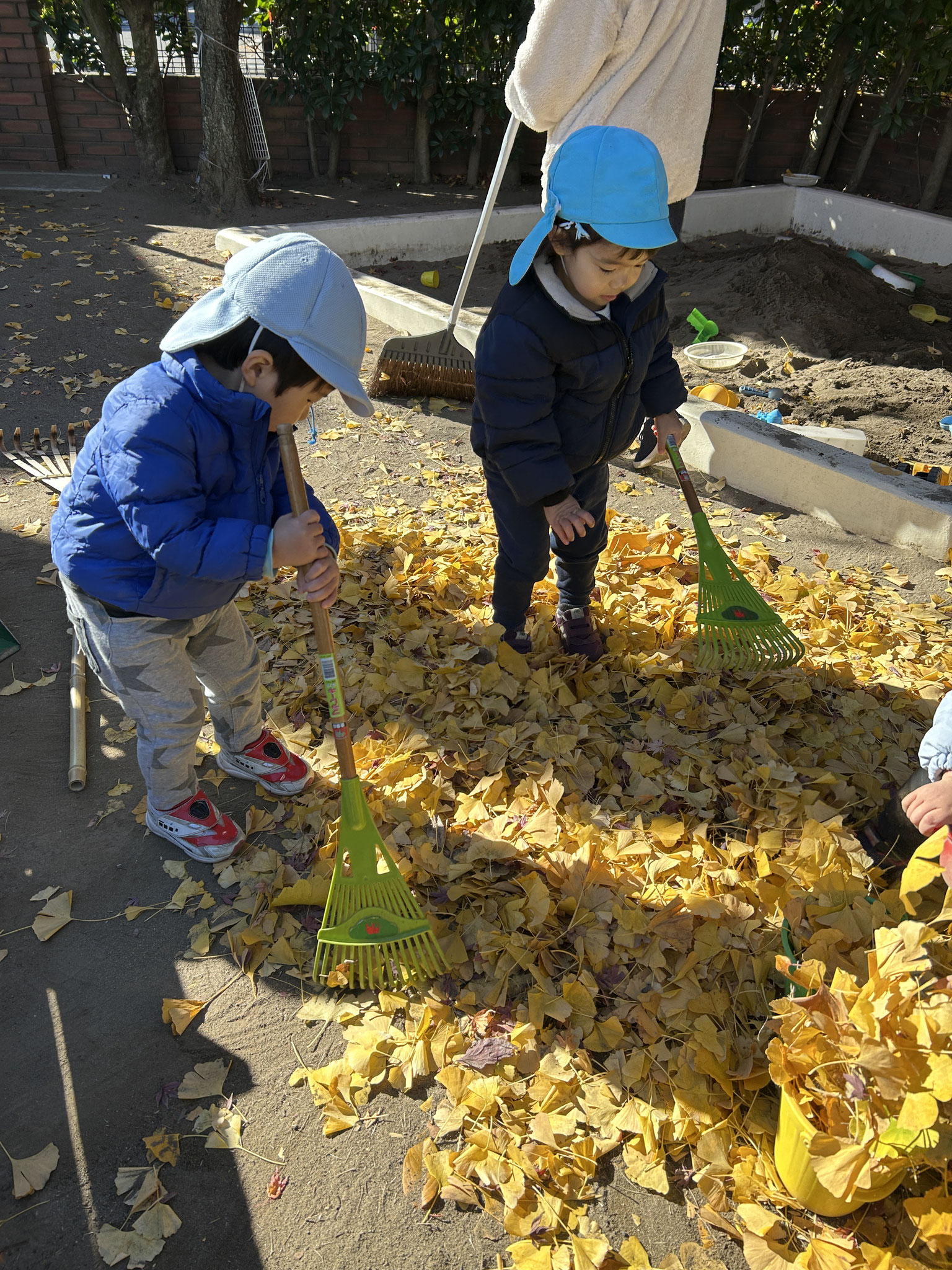 子ども達と一緒にせっせと落ち葉掃きをしましたよ。