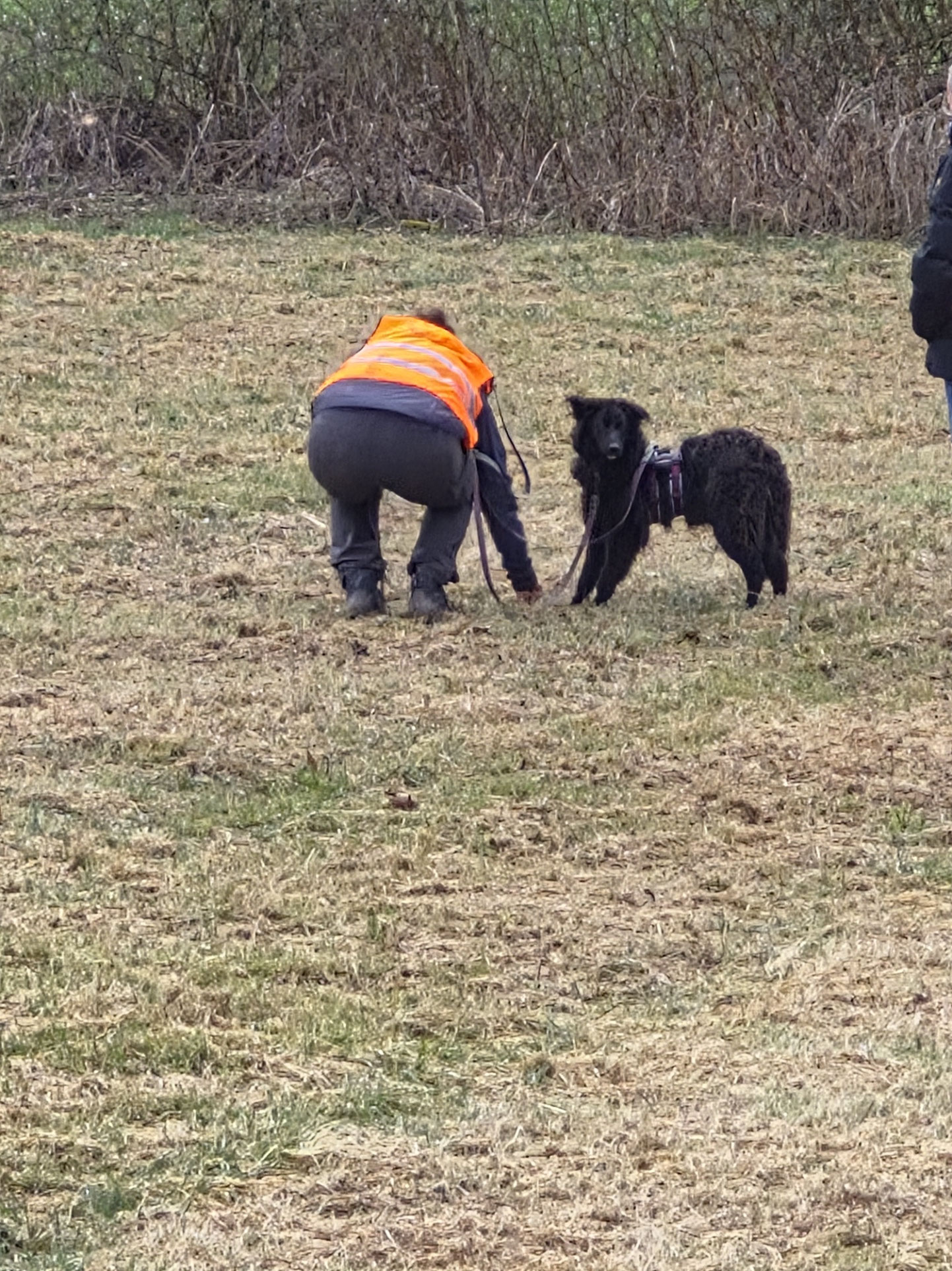 auf der Spur nach Hinweisen
