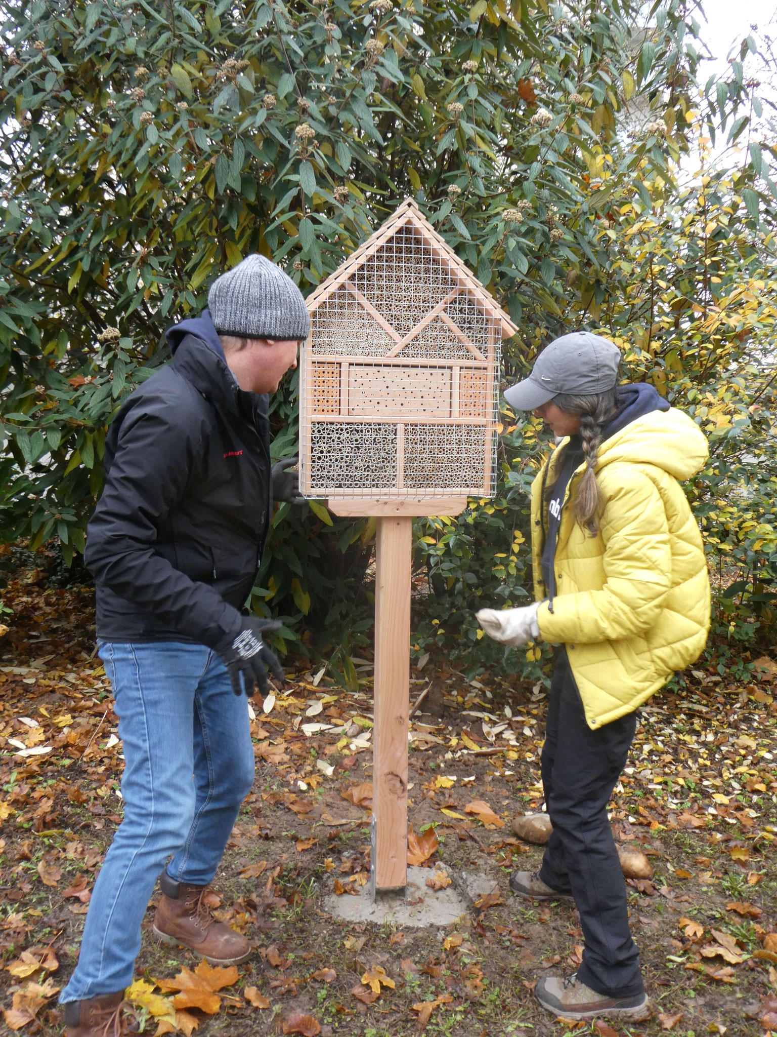 Das Insektenhotel wird aufgebaut