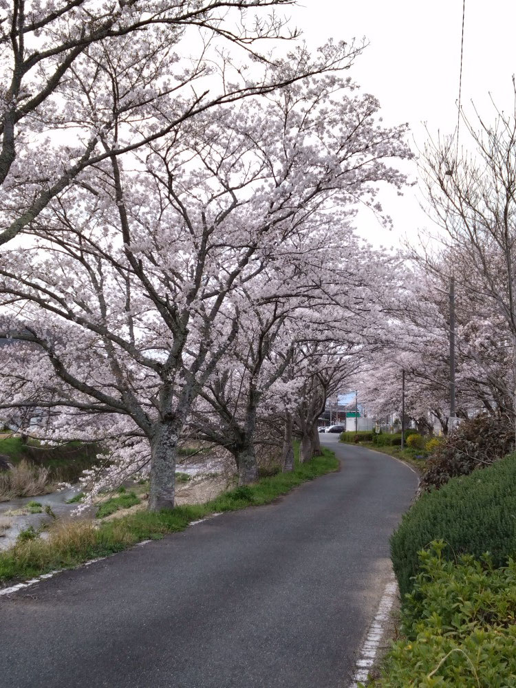 柏原駅　裏