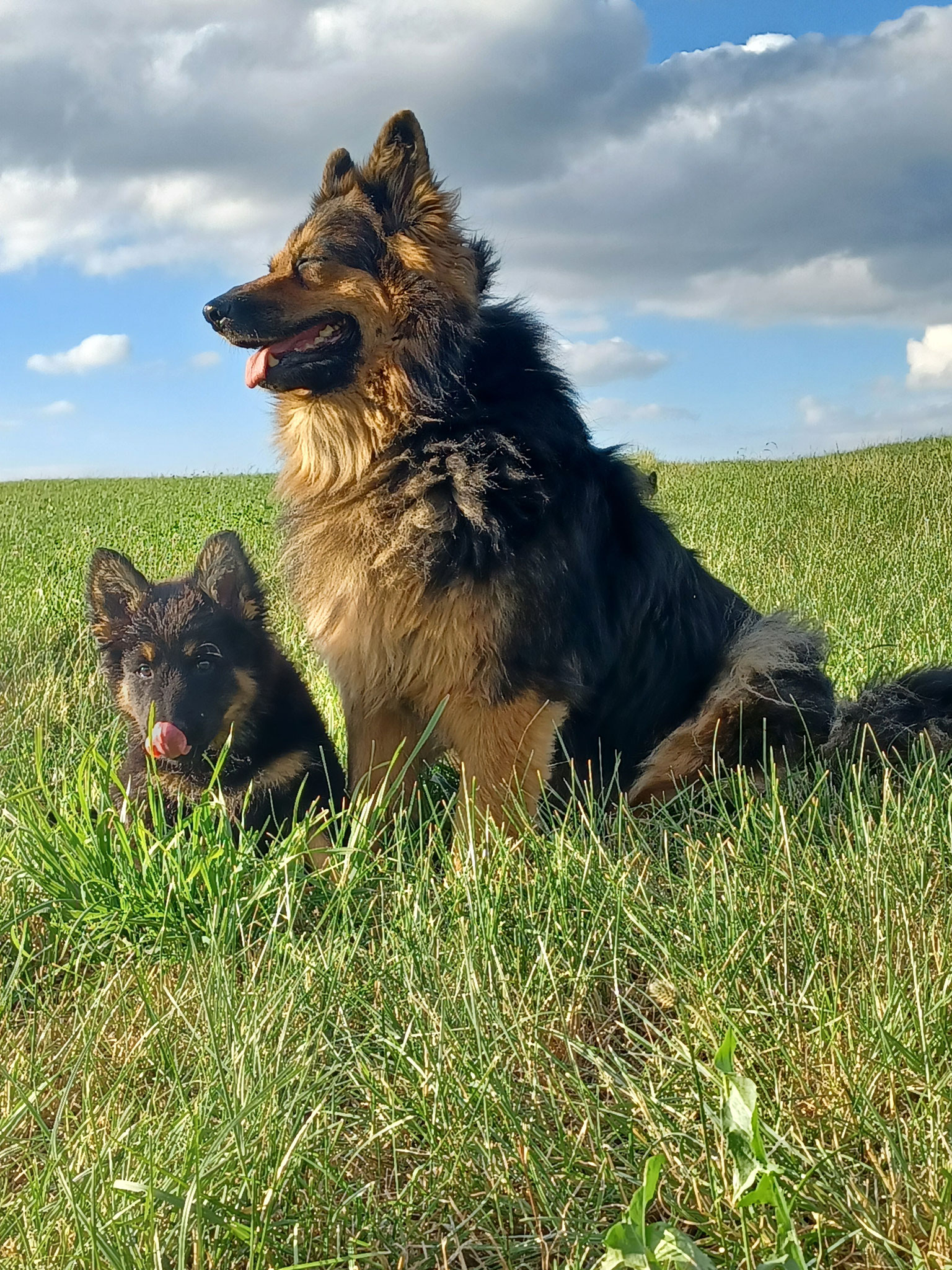 Inca und Kosmo