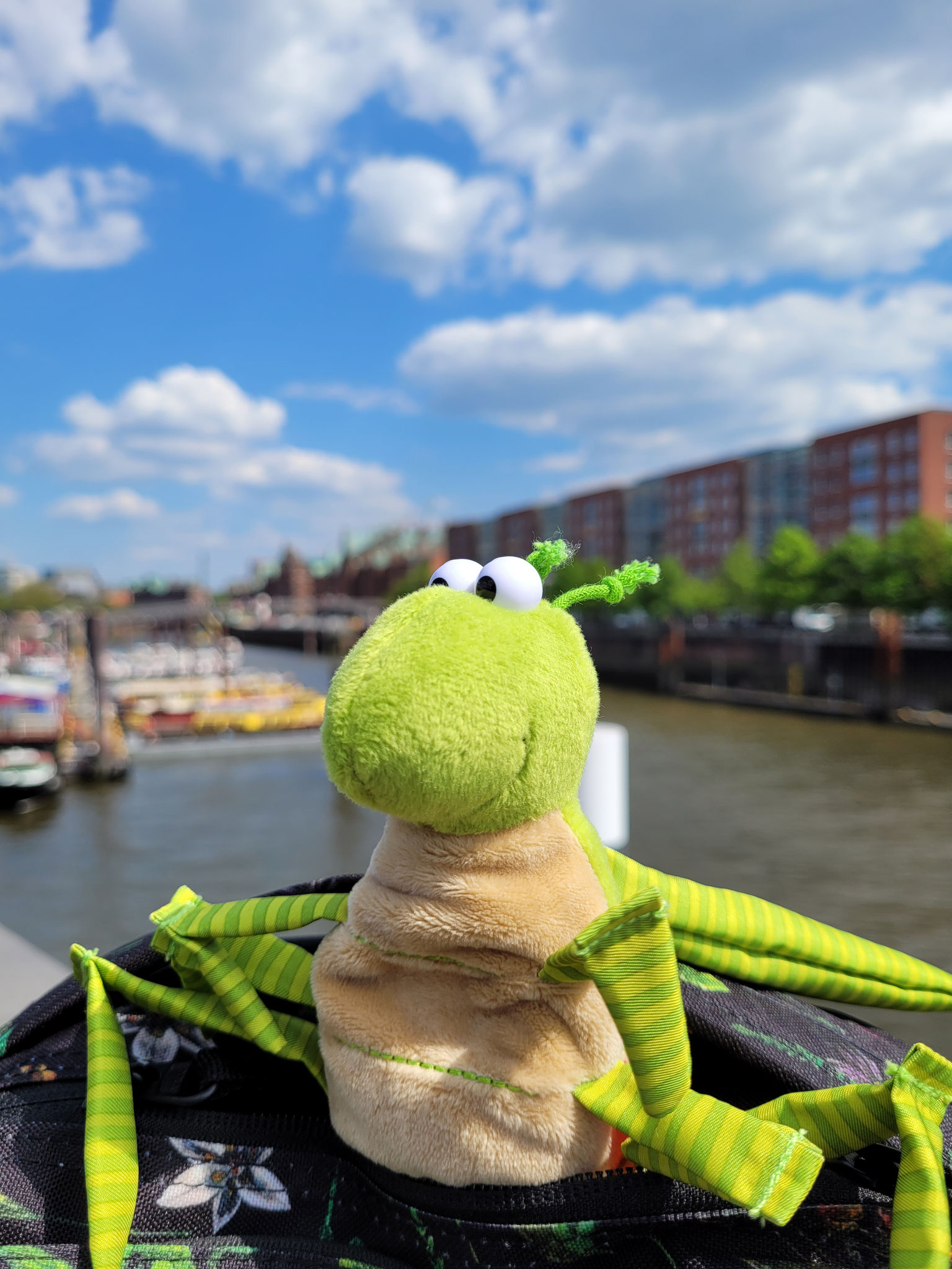 Hoppi in der Speicherstadt auf der Suche nach dem Hafenkraken