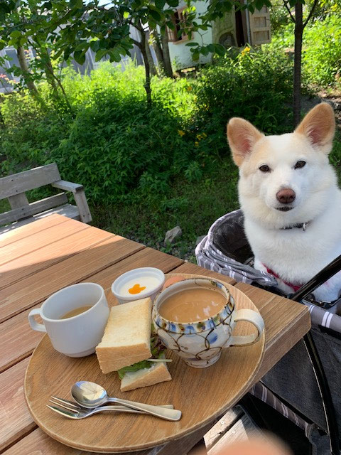 パンをオプションでベーグルにできます。今回は鶏ハム追加で！