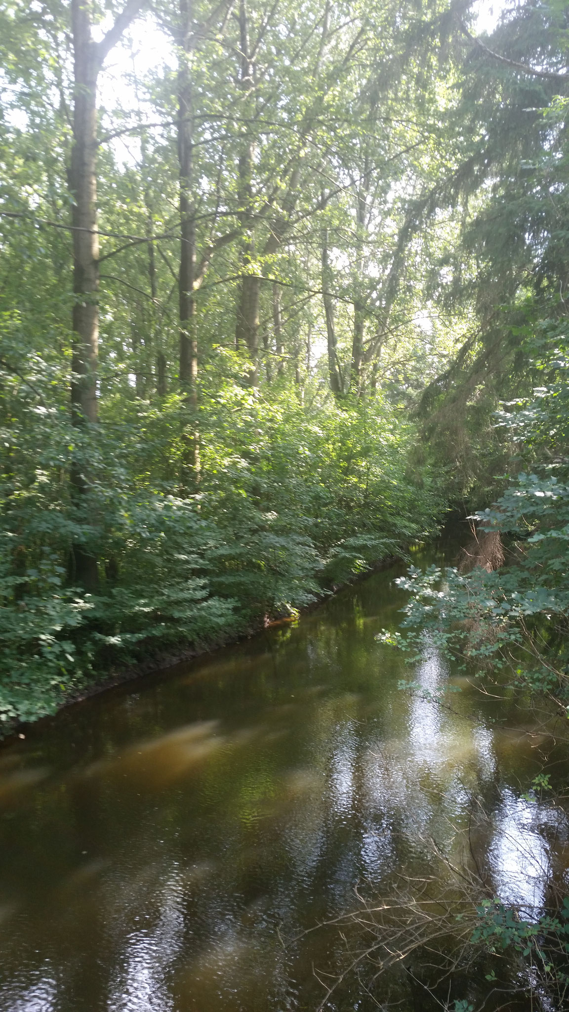 Seitenarm der Möhne am Möhnetalradweg