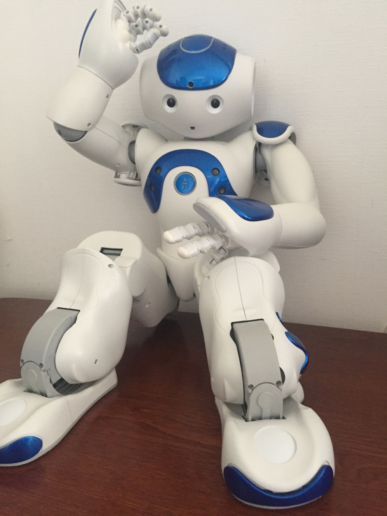 ロボット産業　ISO 13482 