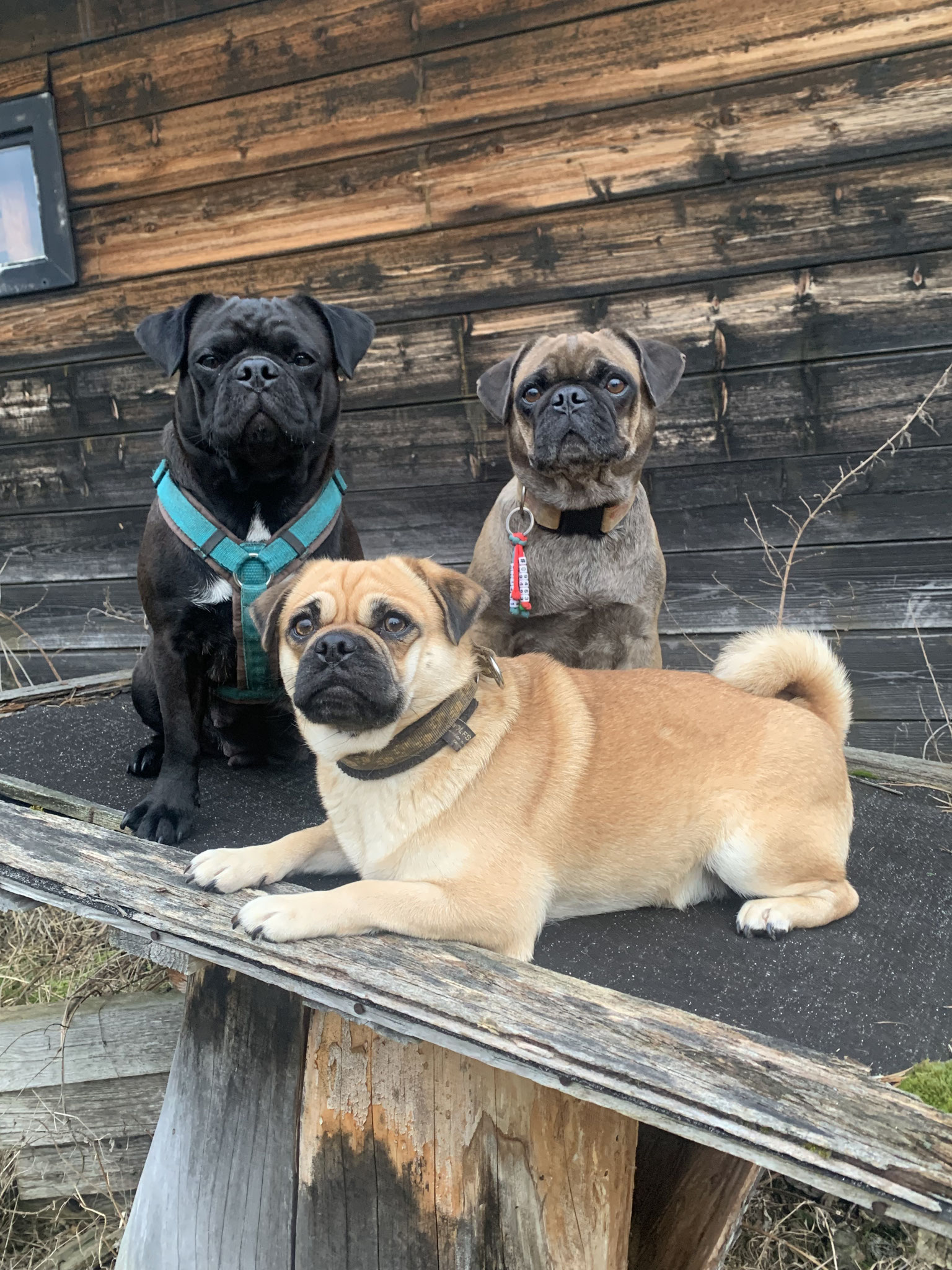 Retromops-Trio