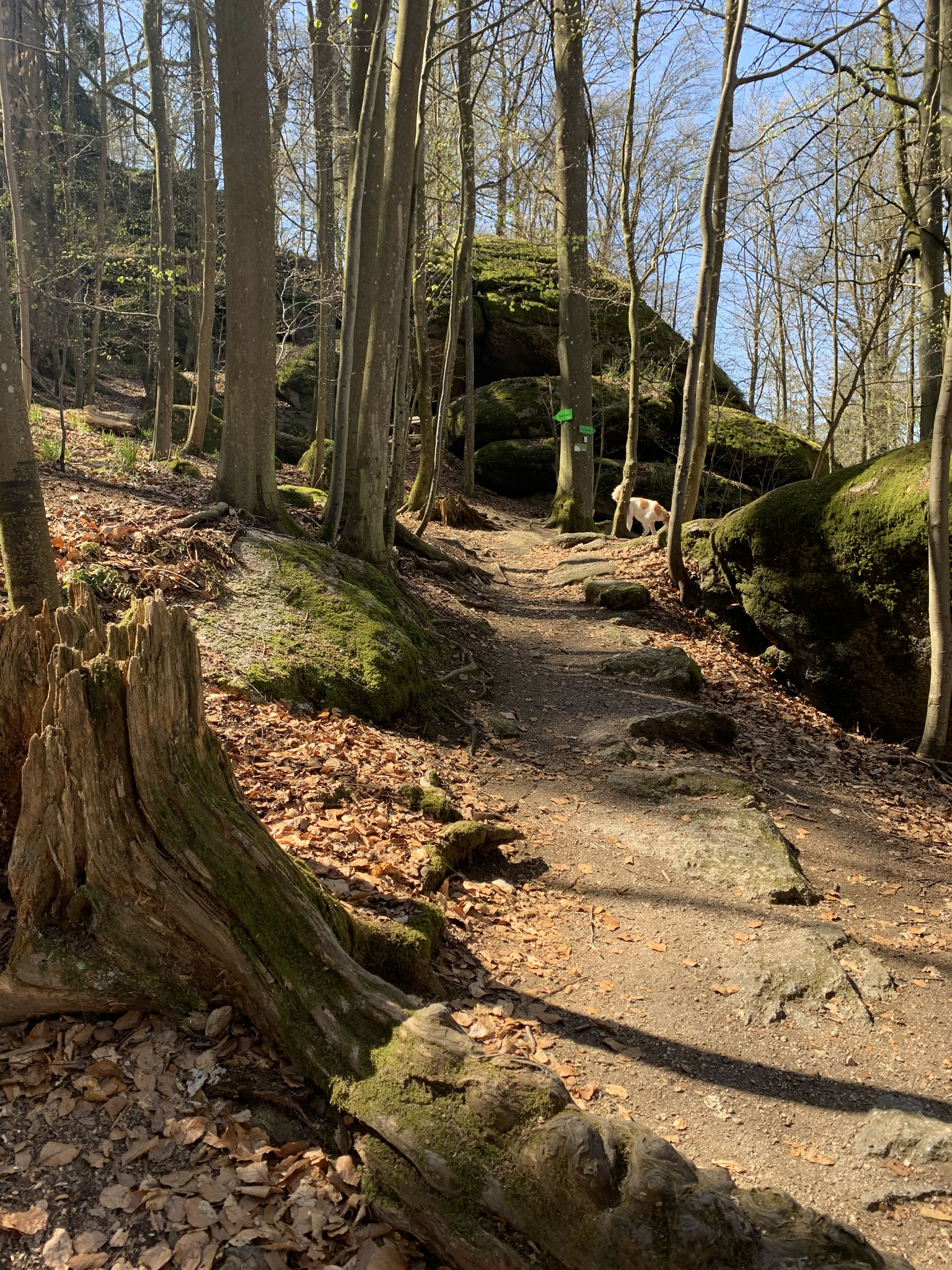 Der Felsenpark - ein Erlebnis!