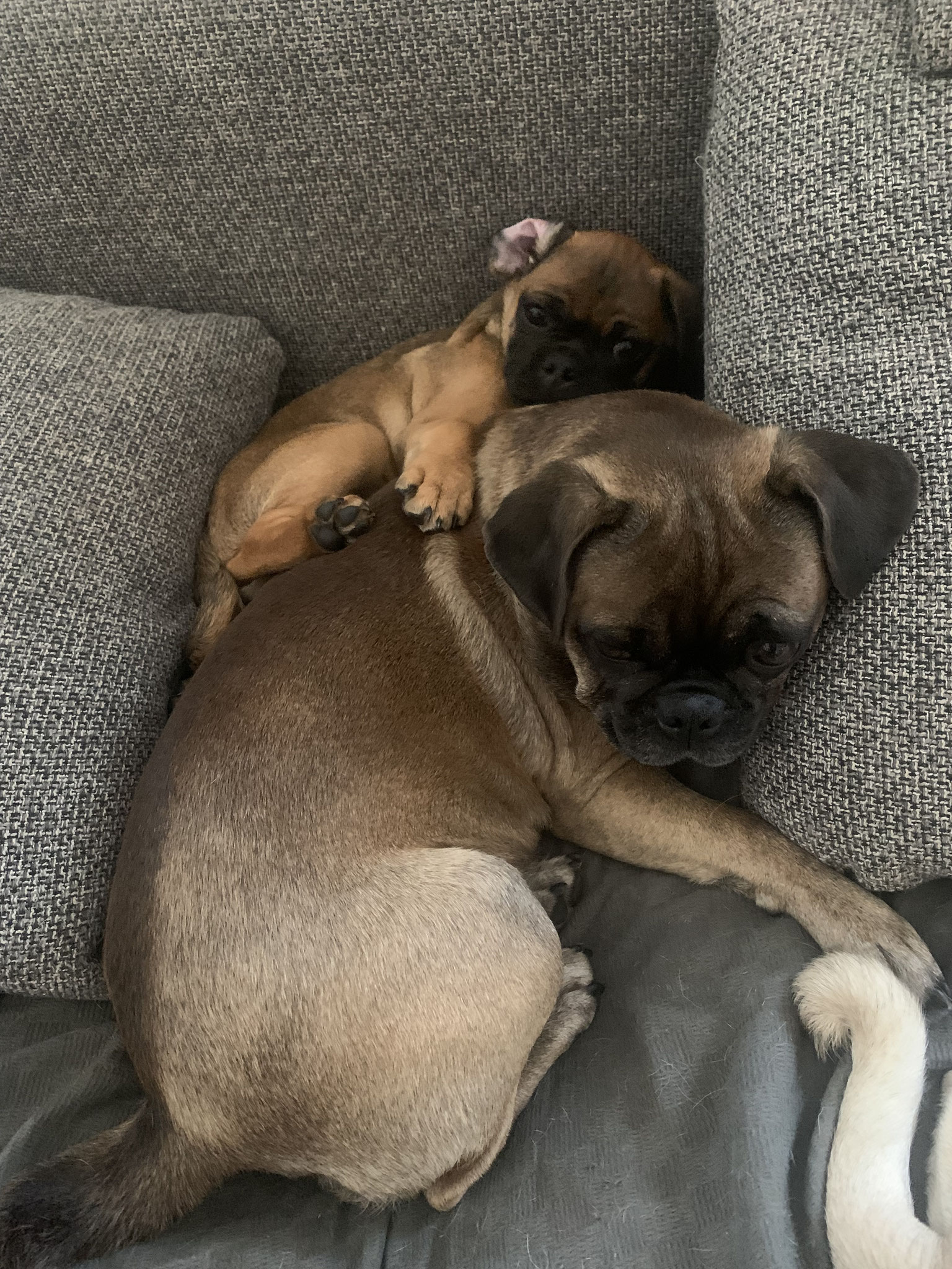 Klein und groß