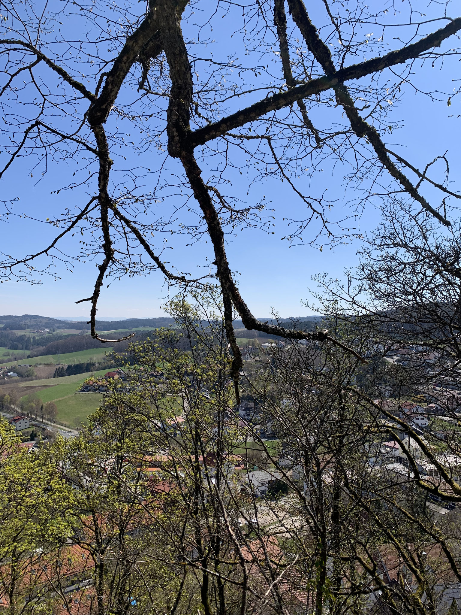 Der Blick vom Felsenpark aus