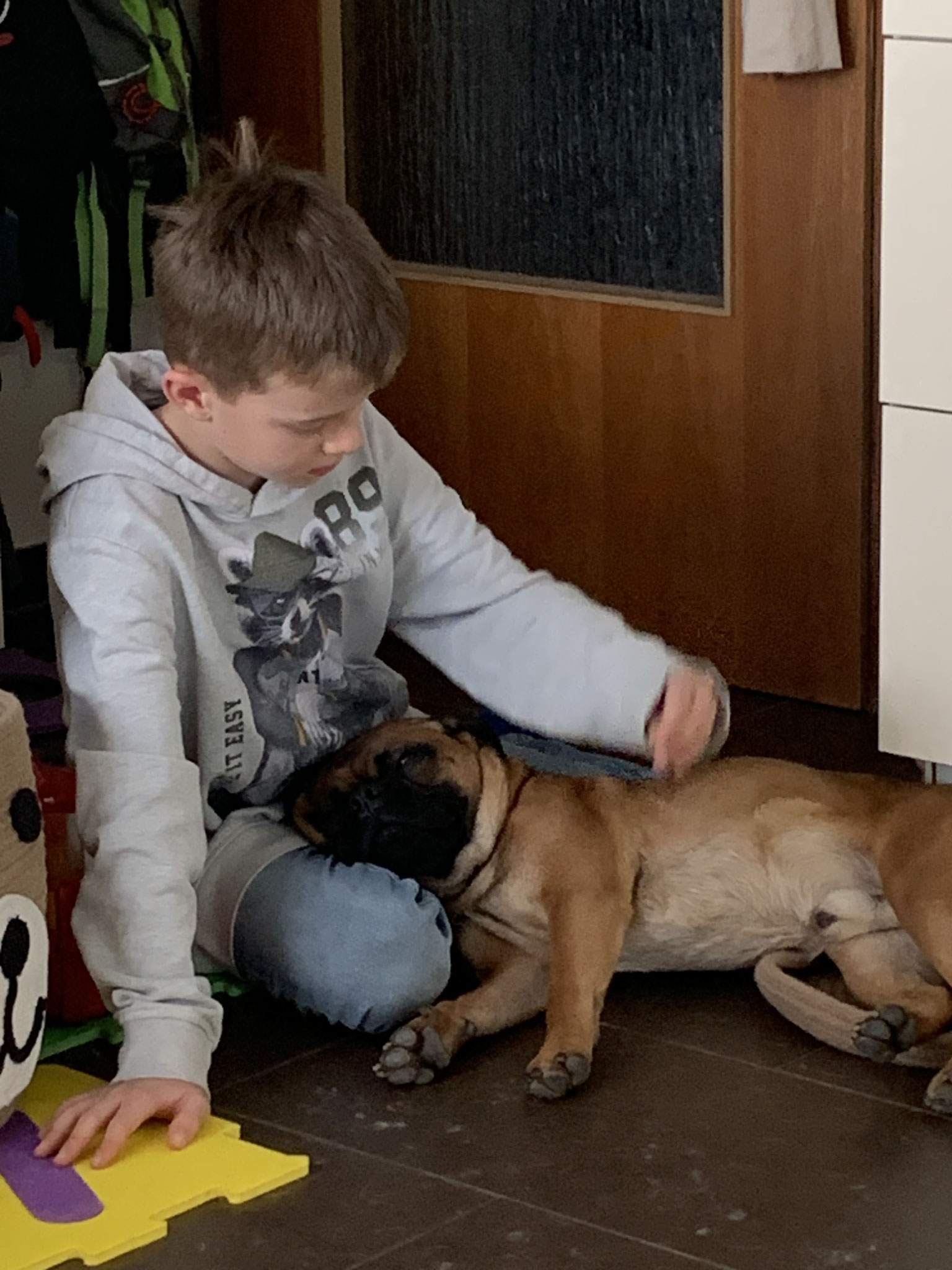 Sherry, der ideale Kinderhund