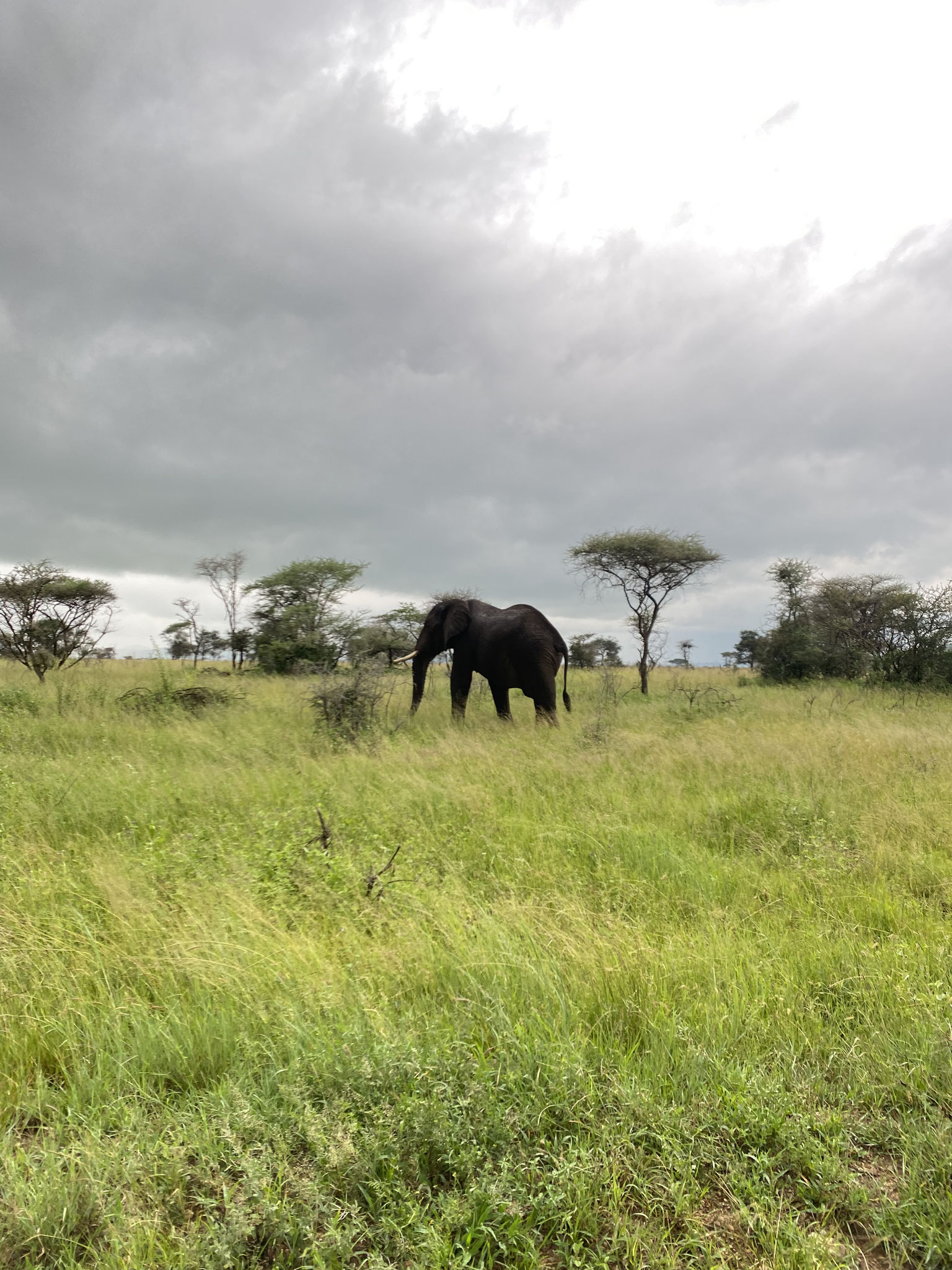 Queen Elizabeth National Park