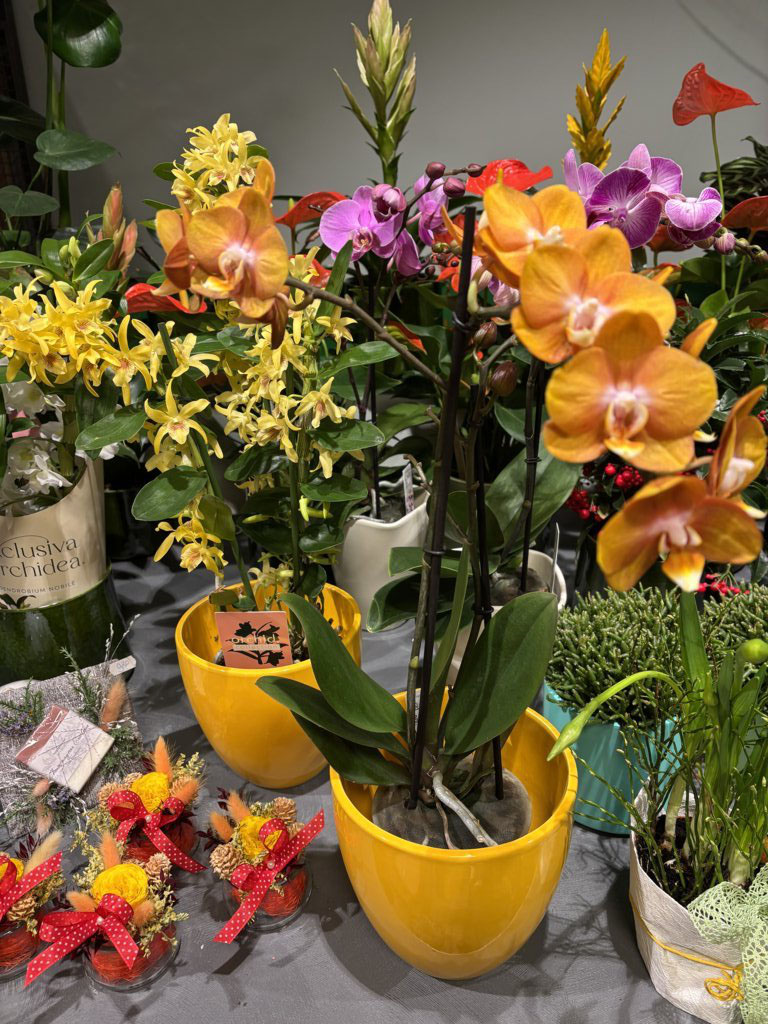 Blumen Werkstatt Dresden Neustadt: Frühlingserwachen