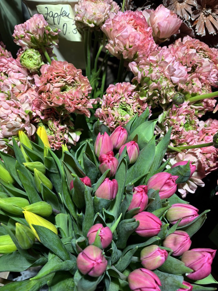Blumen Werkstatt Dresden Neustadt: Frühlingserwachen