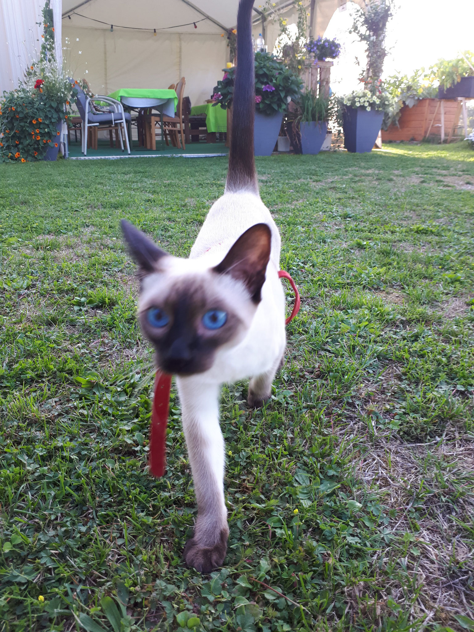 Erster Ausflug im Garten.