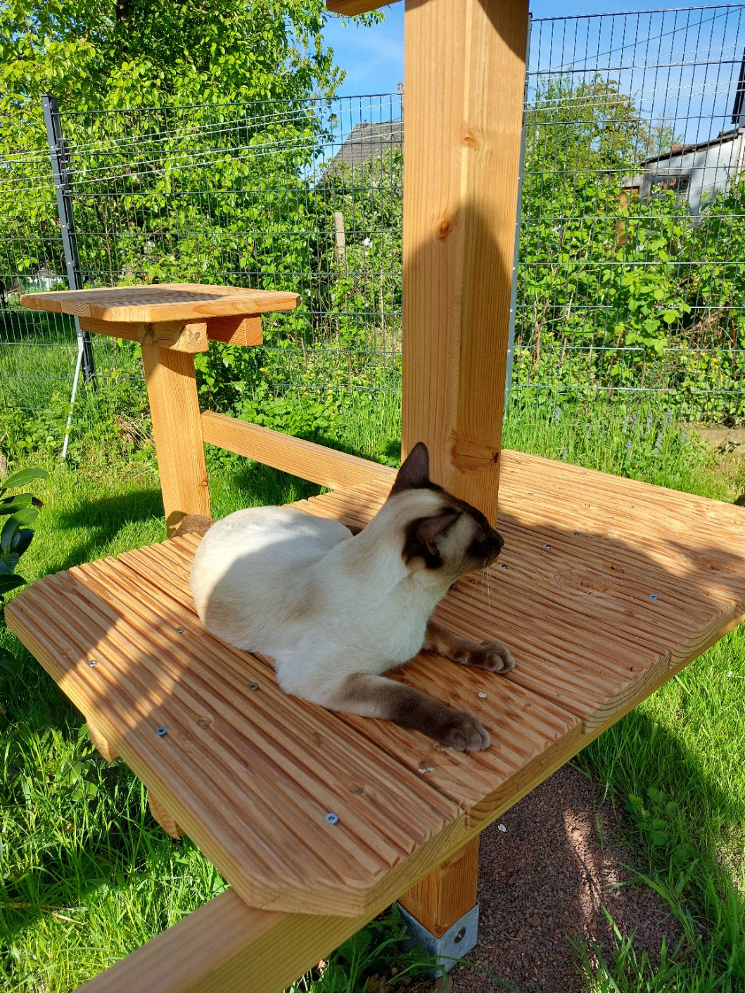 Loriot im Garten