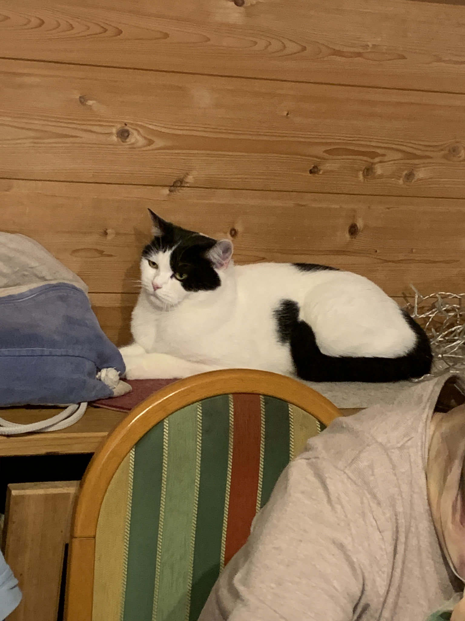 Stille Besucher sind erwünscht!