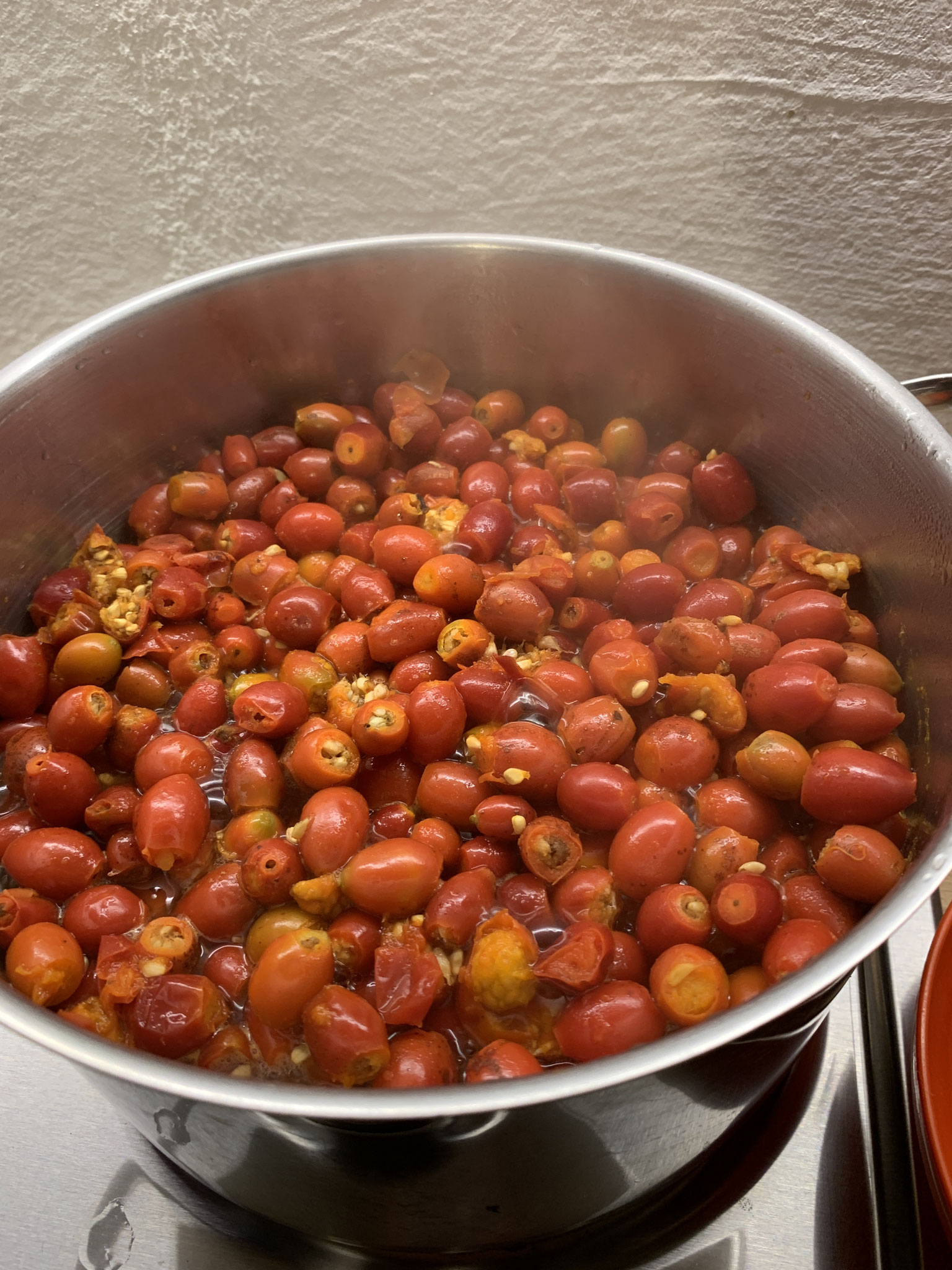 Genau! Die Hagebutte wurde im Oktober