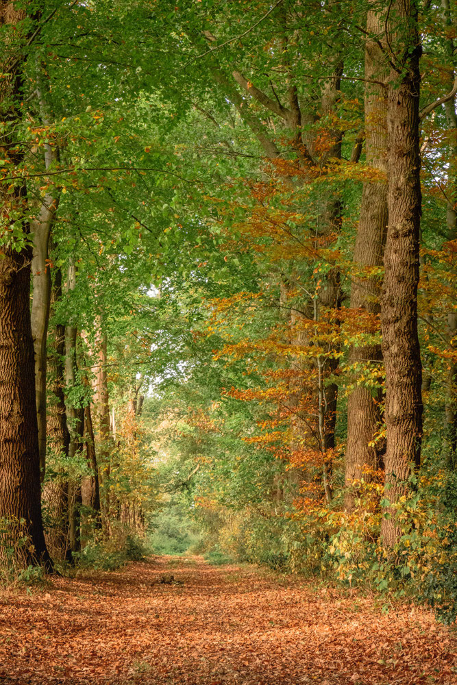 Landgoed Mattemburgh Hoogerheide