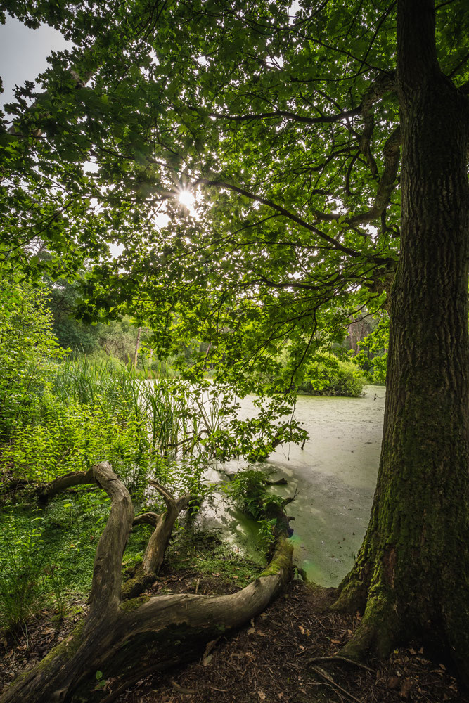 Landgoed Mattemburgh Hoogerheide