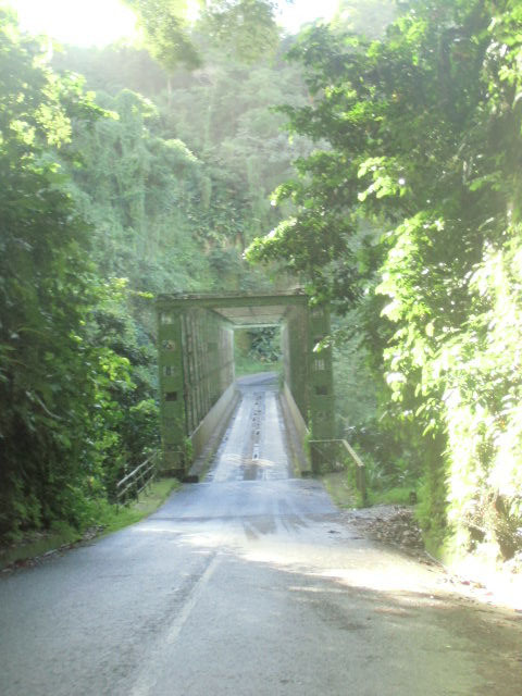 Un pont suspendu dans la forêt entre Macouba et Grand'Rivière