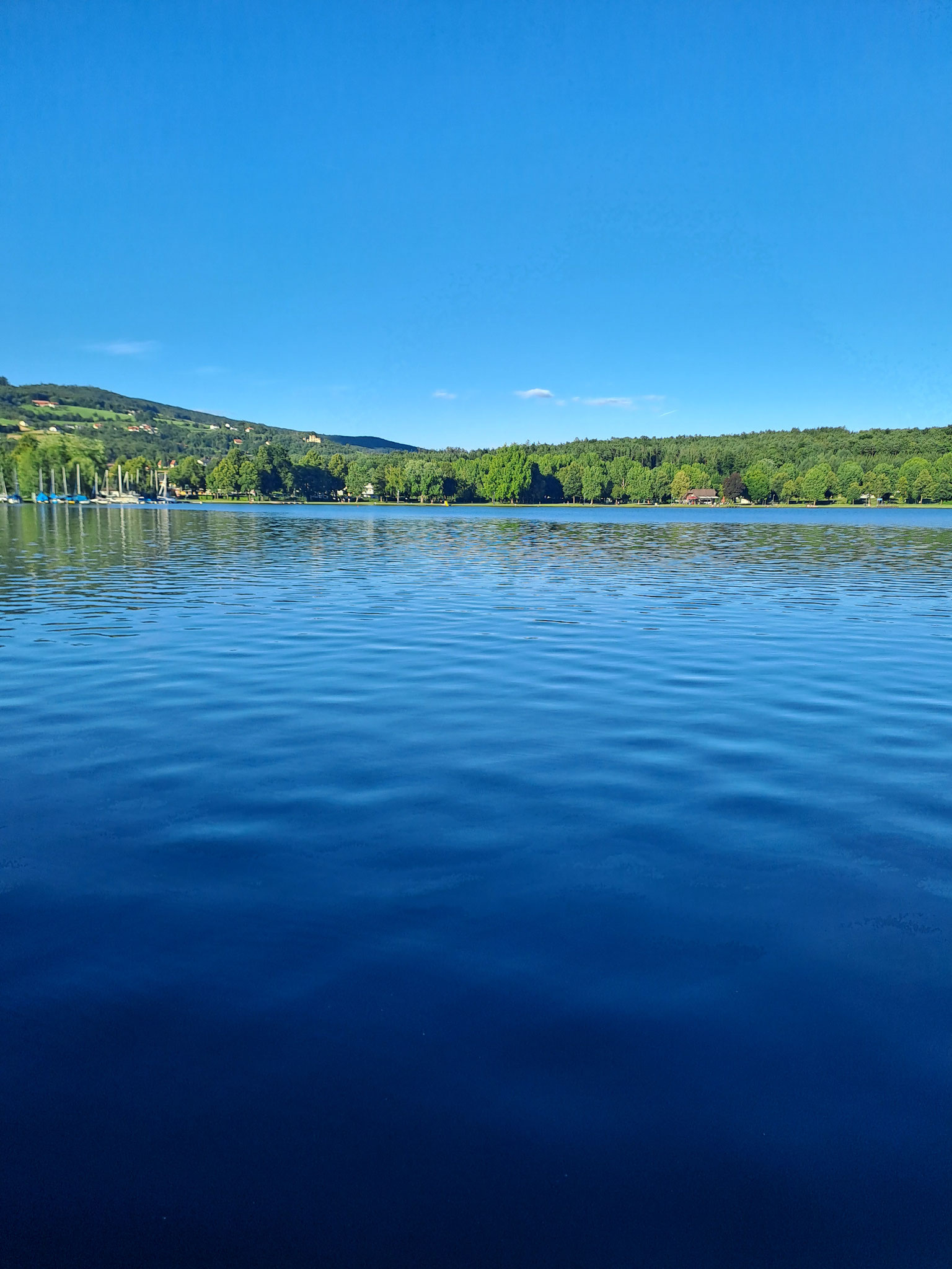 Stubenbergsee vom Ausflugsschiff/Literaturschiff aus 