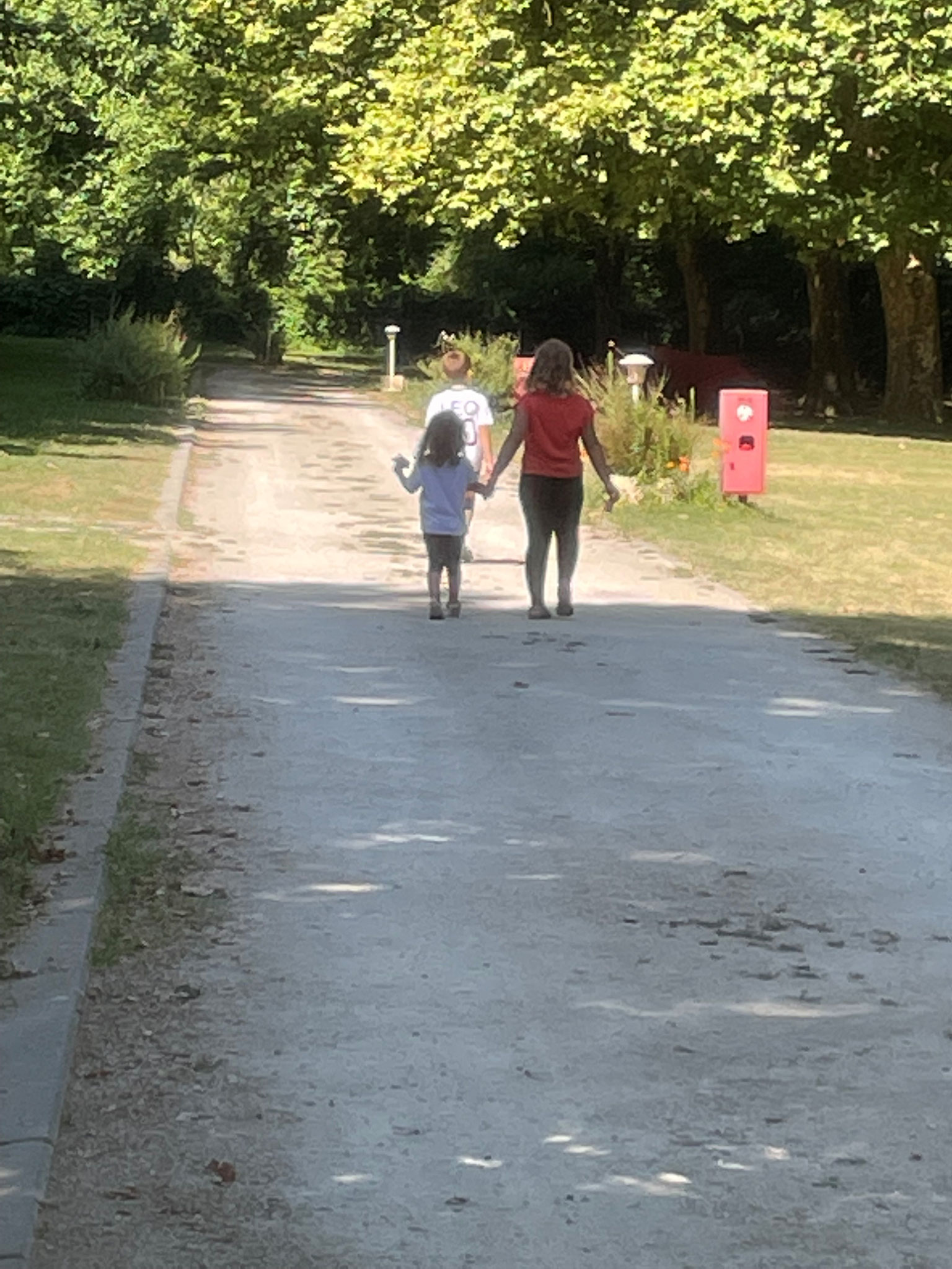 Camping municipal Parc Servois — photo 3