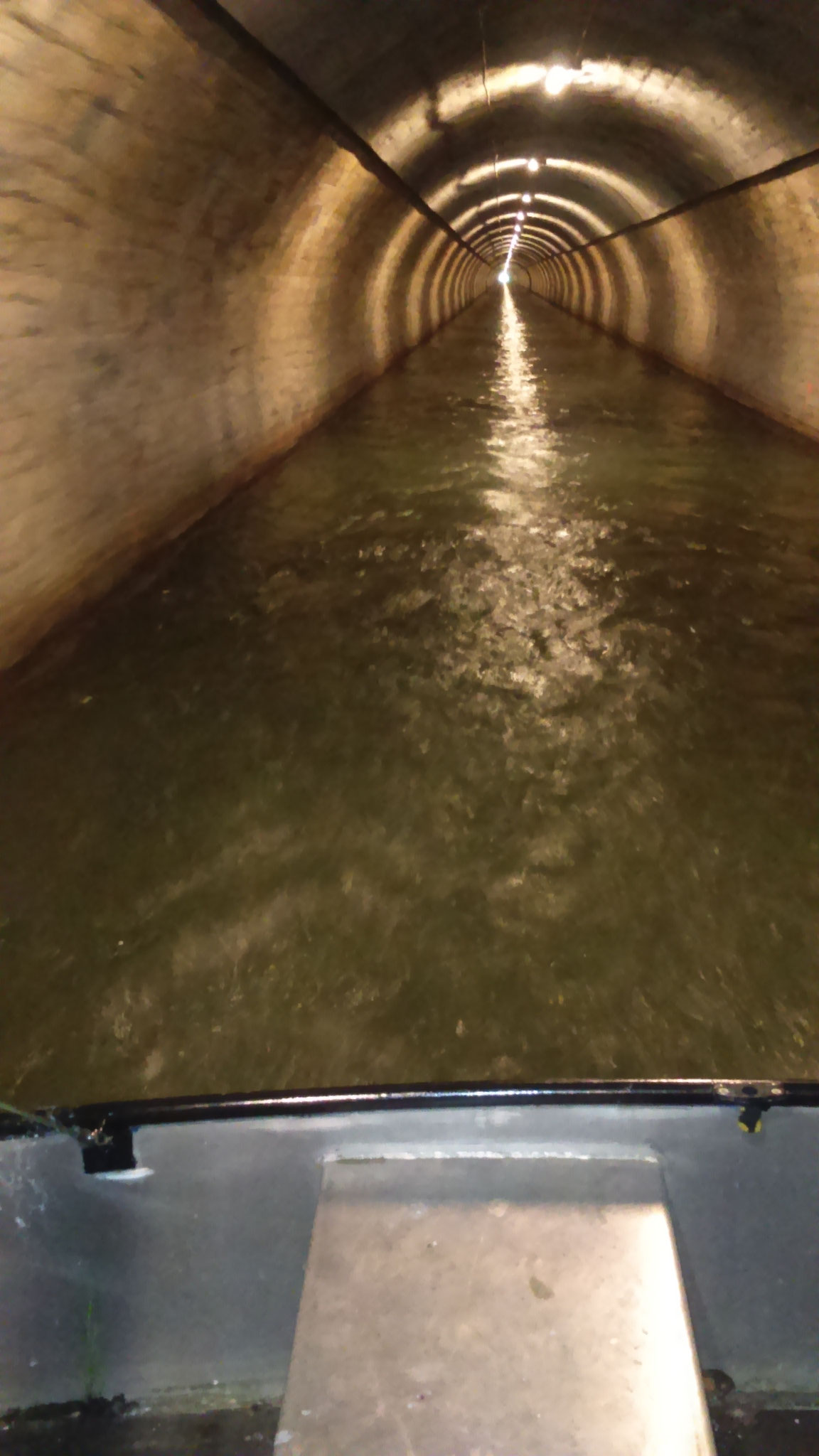 Dans le tunnel