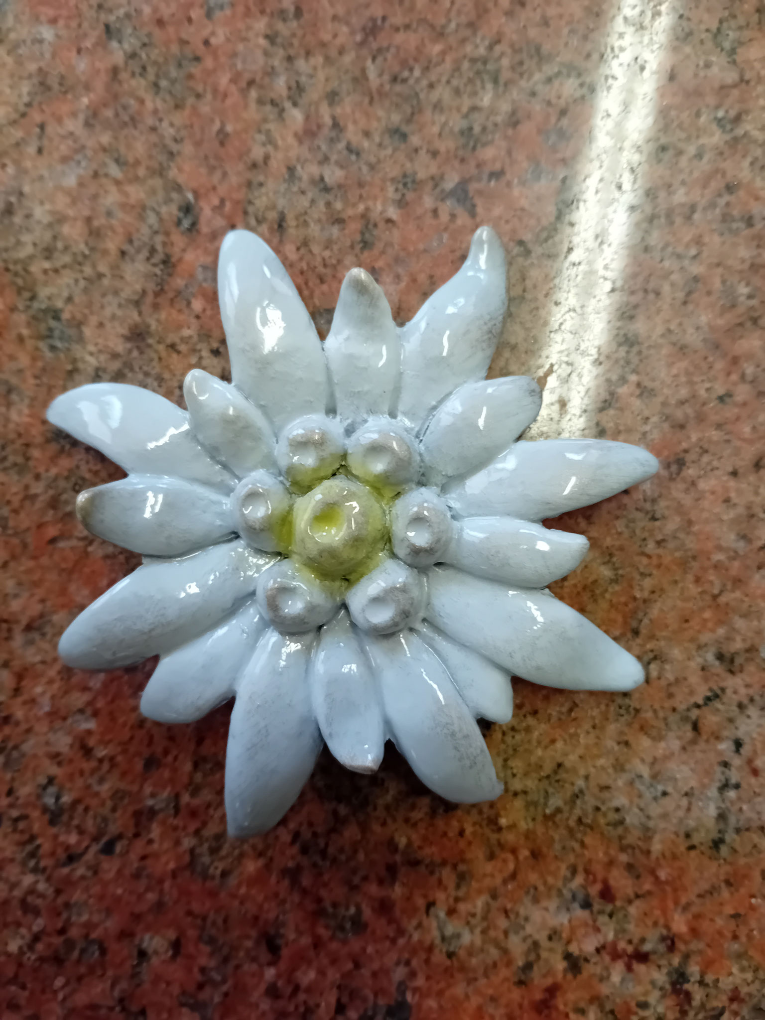 Petalo di stella alpina 