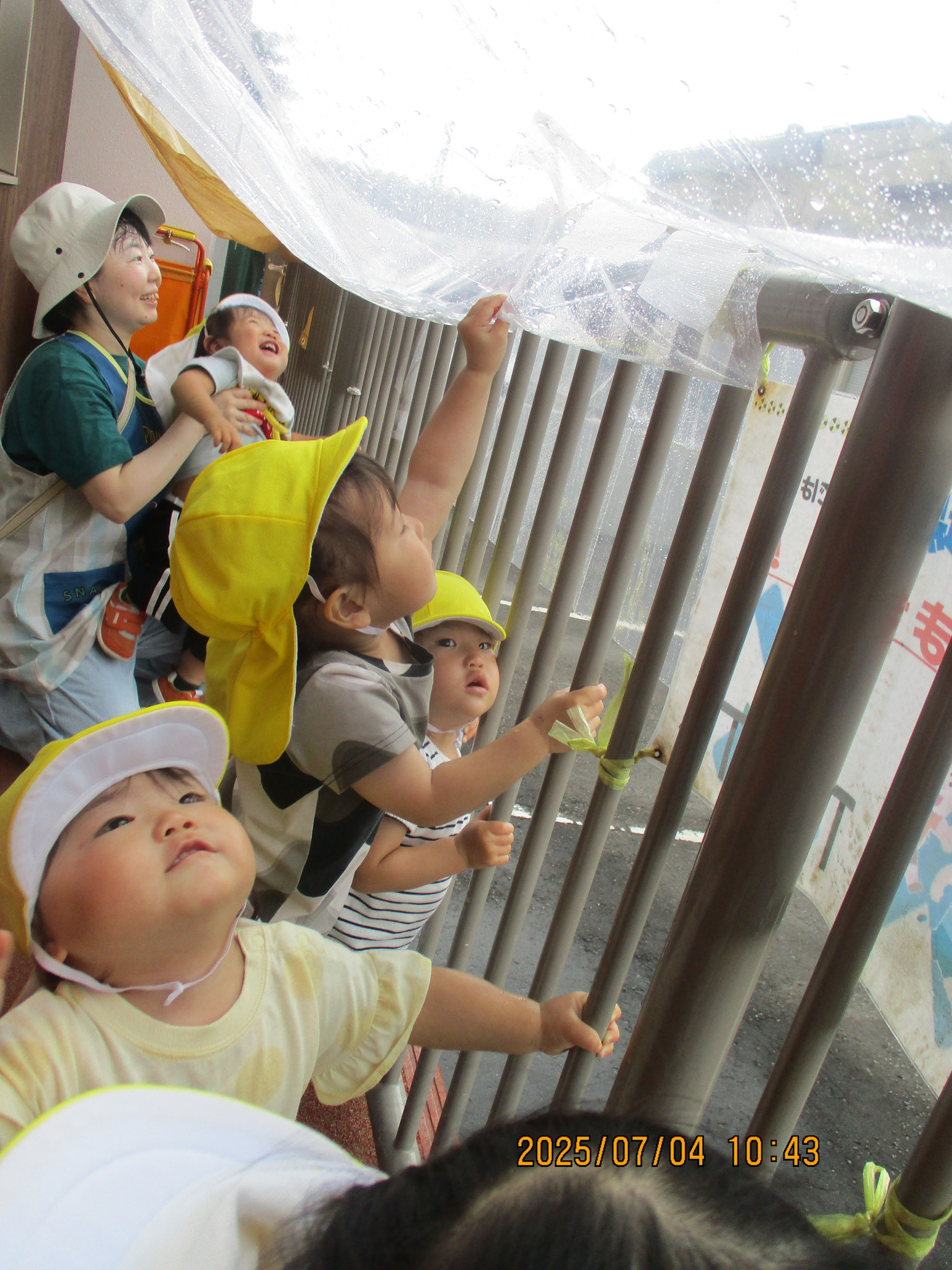 ポチョン　雨がたまっているよ