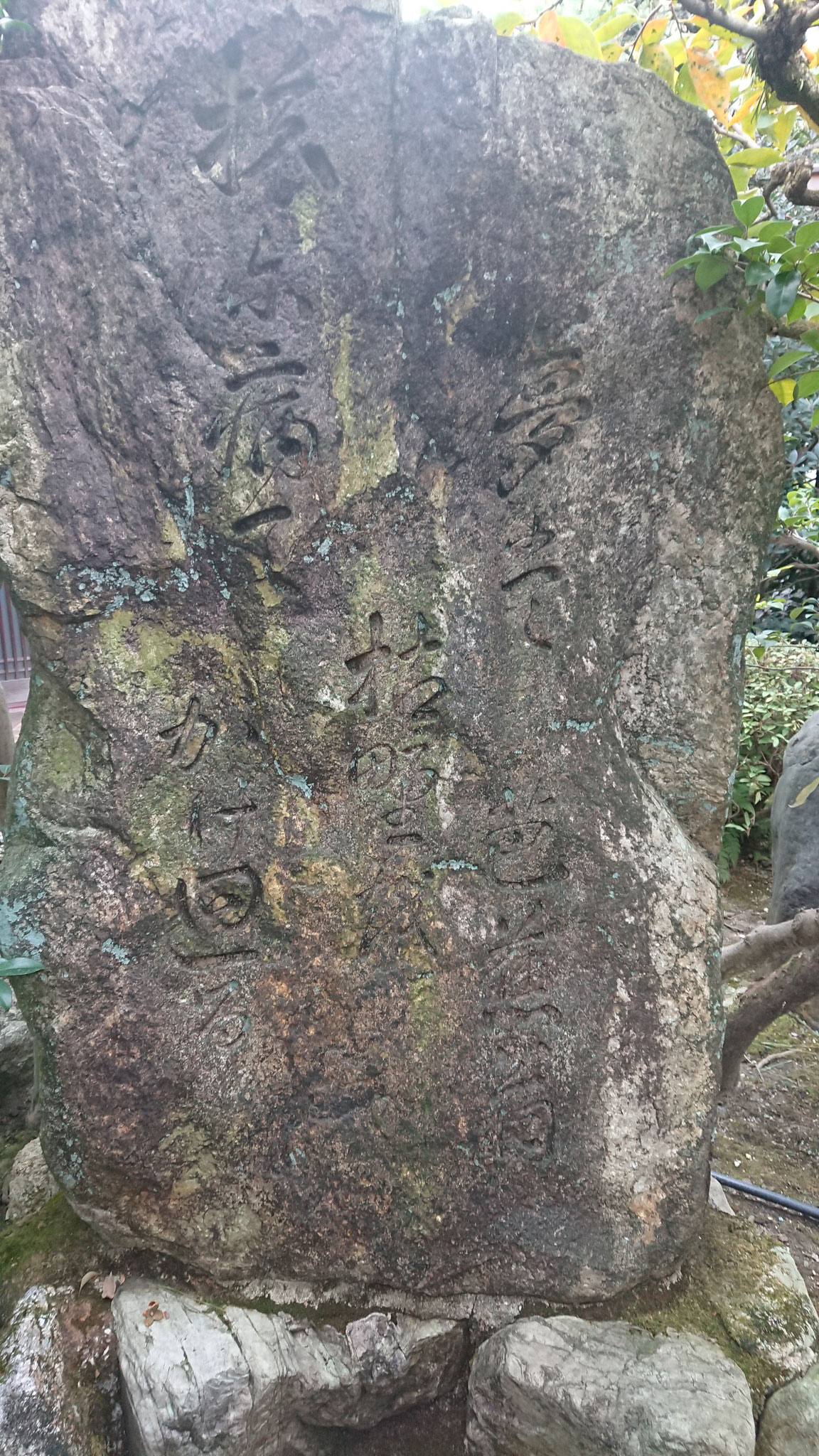 芭蕉辞世の句  旅に病んで夢は枯野を駆け巡る