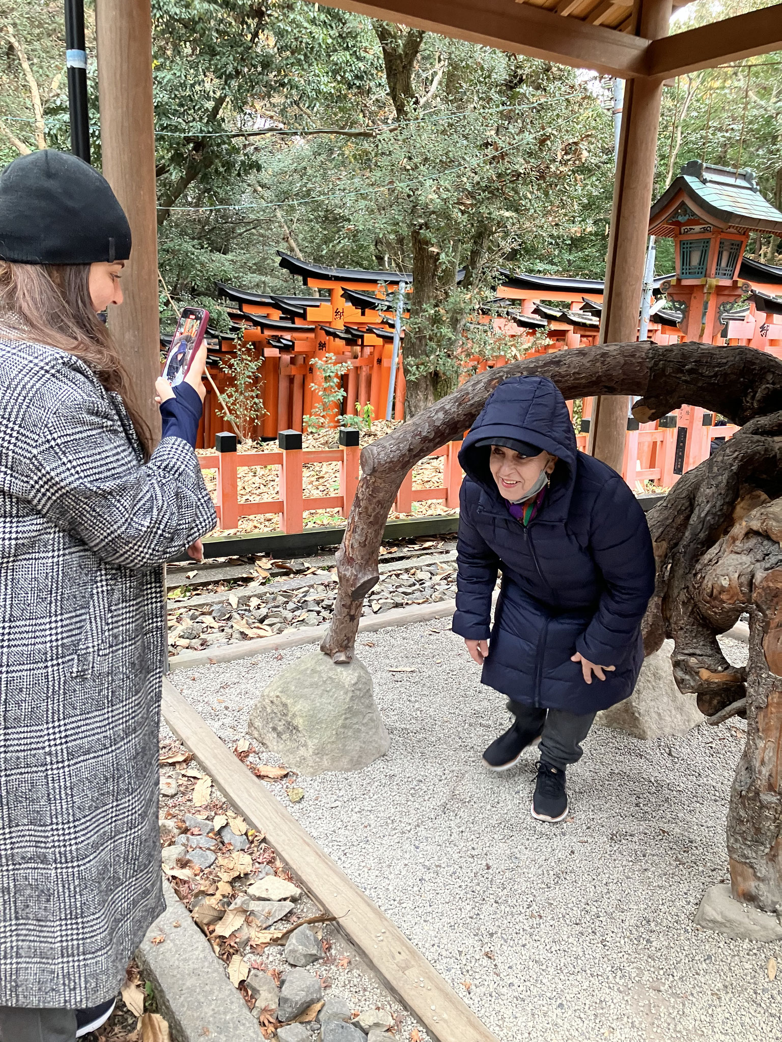 奇妙大明神「根上りの松」 インフレ祈願ではなく腰痛や膝（ひざ）にご利益