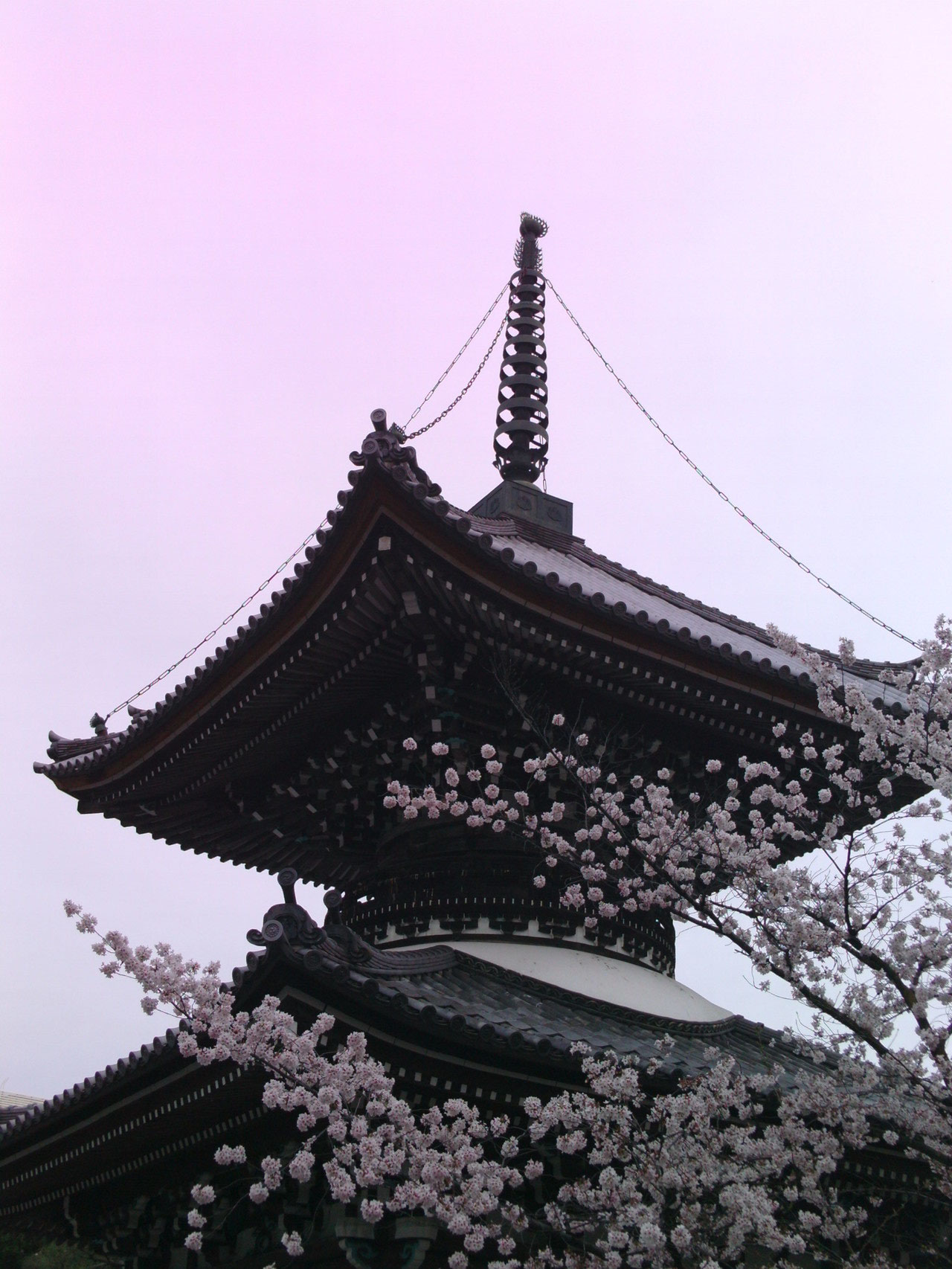 本法寺多宝塔