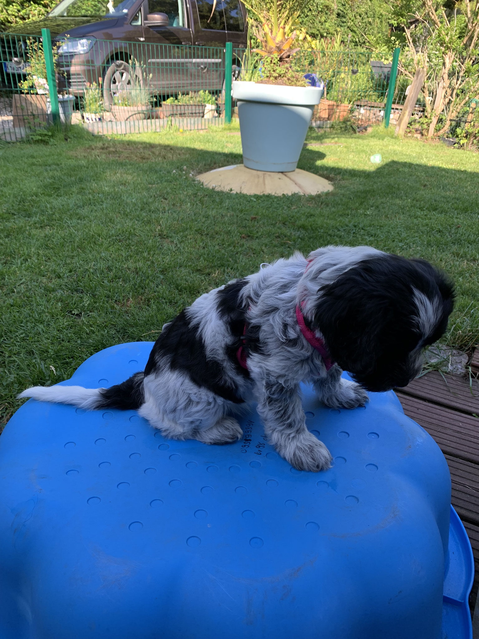 huch, was läuft da?