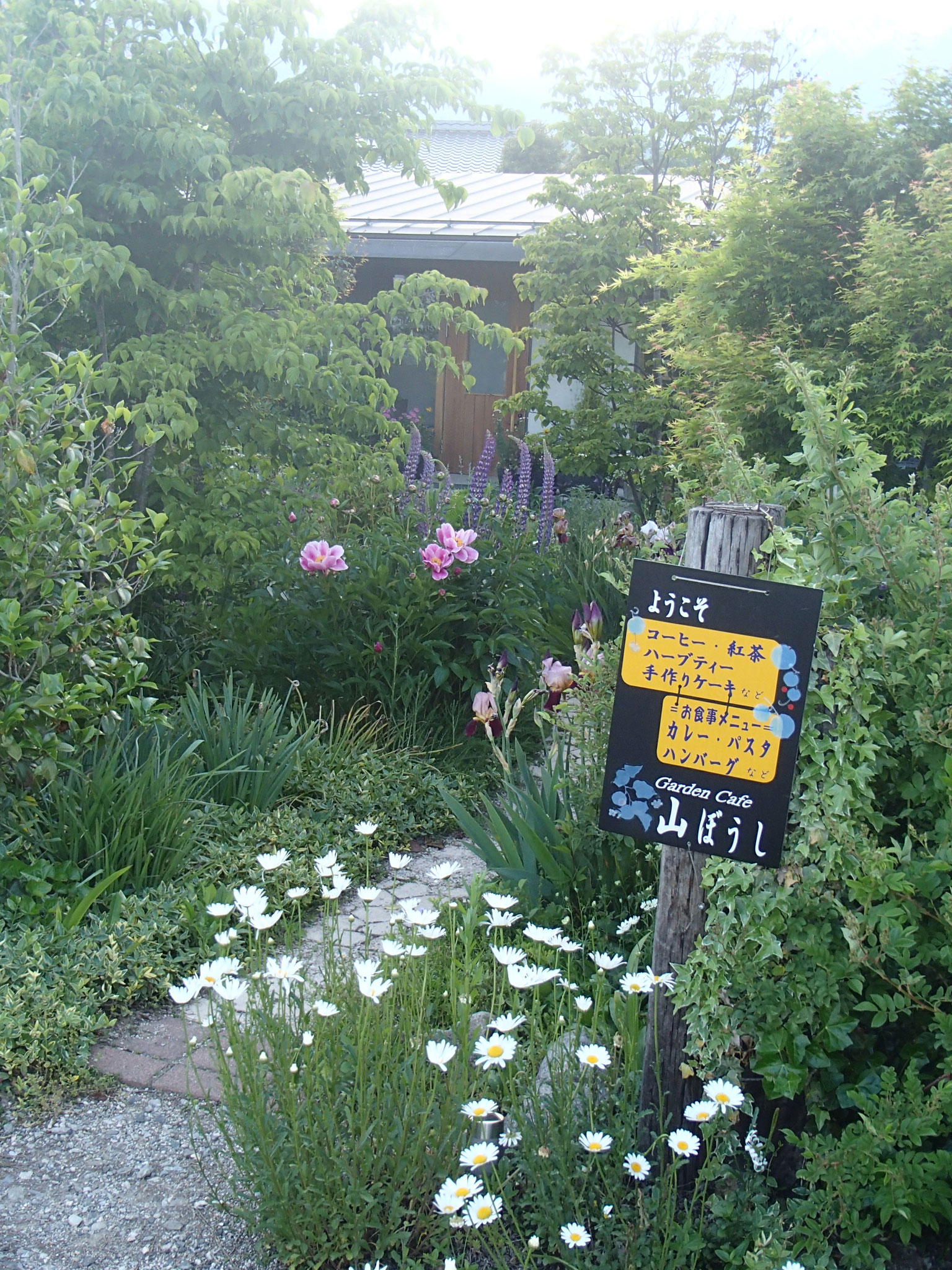 Topページ カフェ 山ぼうし ホームページ