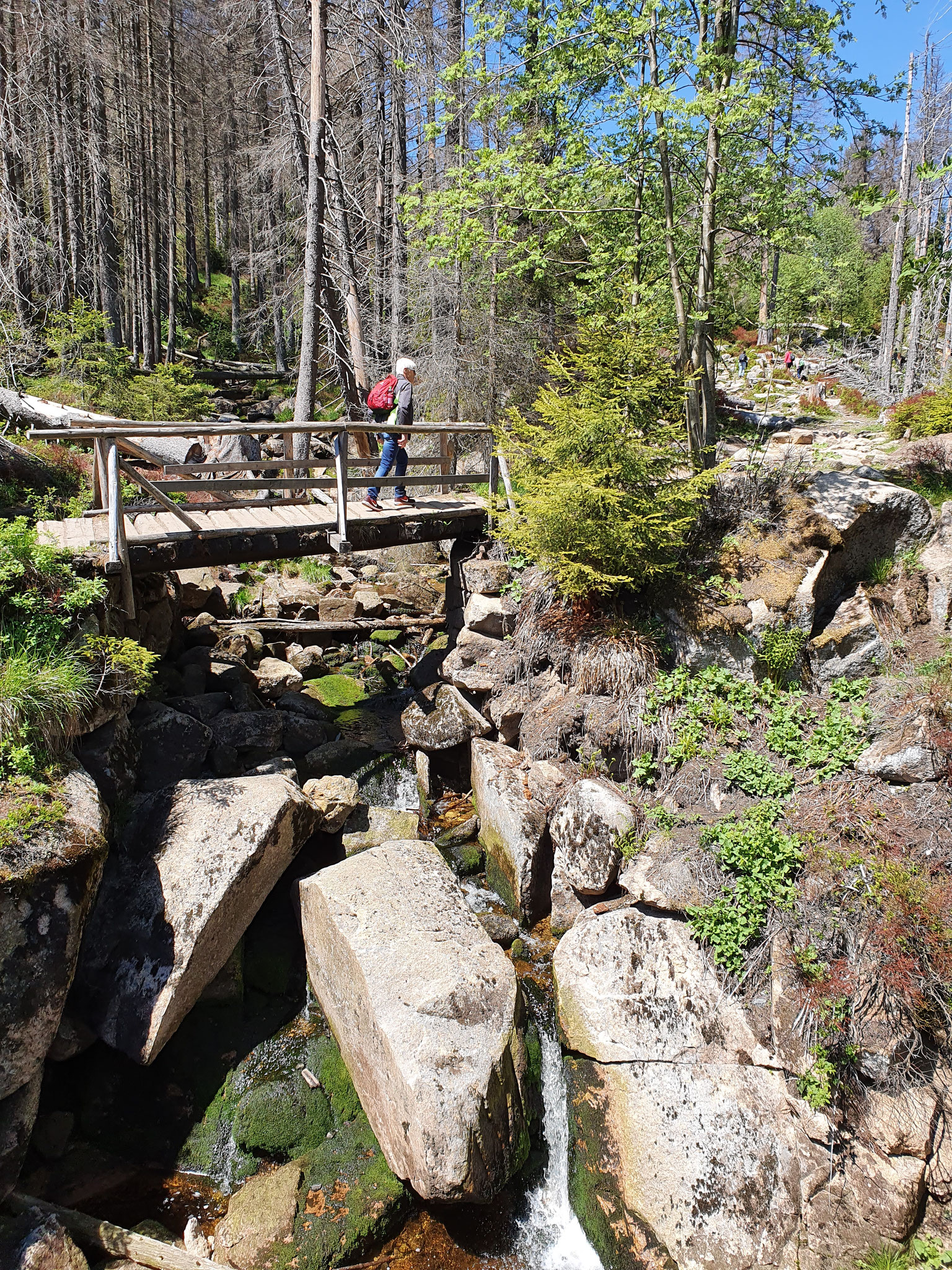 Wandertour zum Brocken