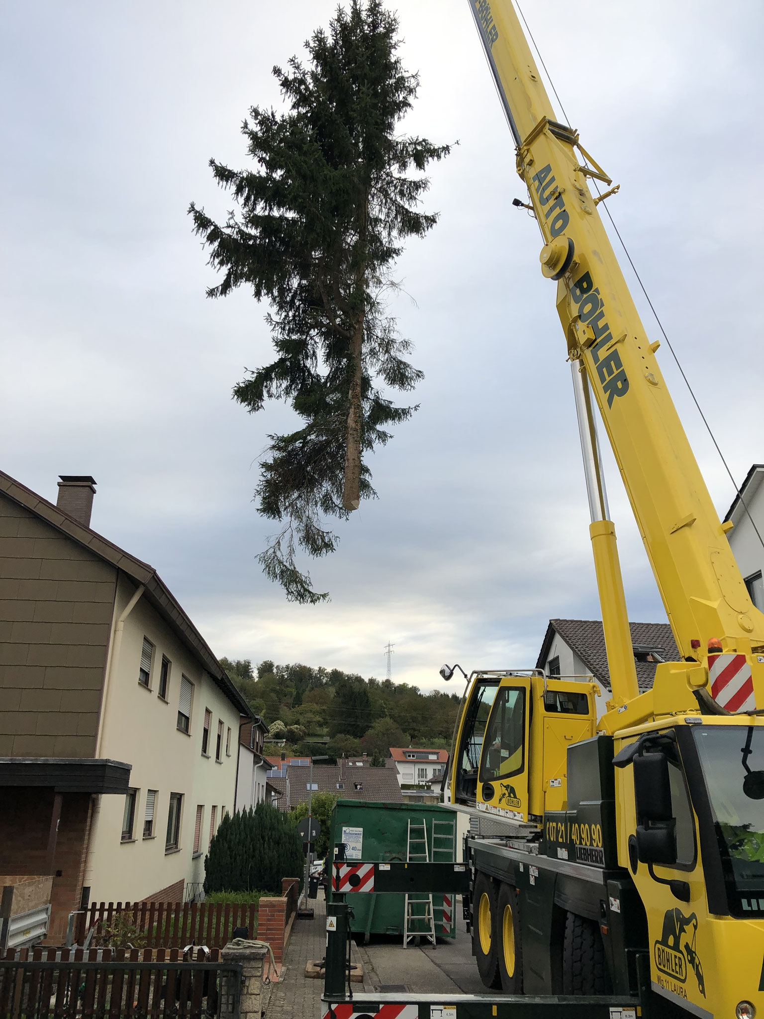 Fichten Kranfällung in Berghausen