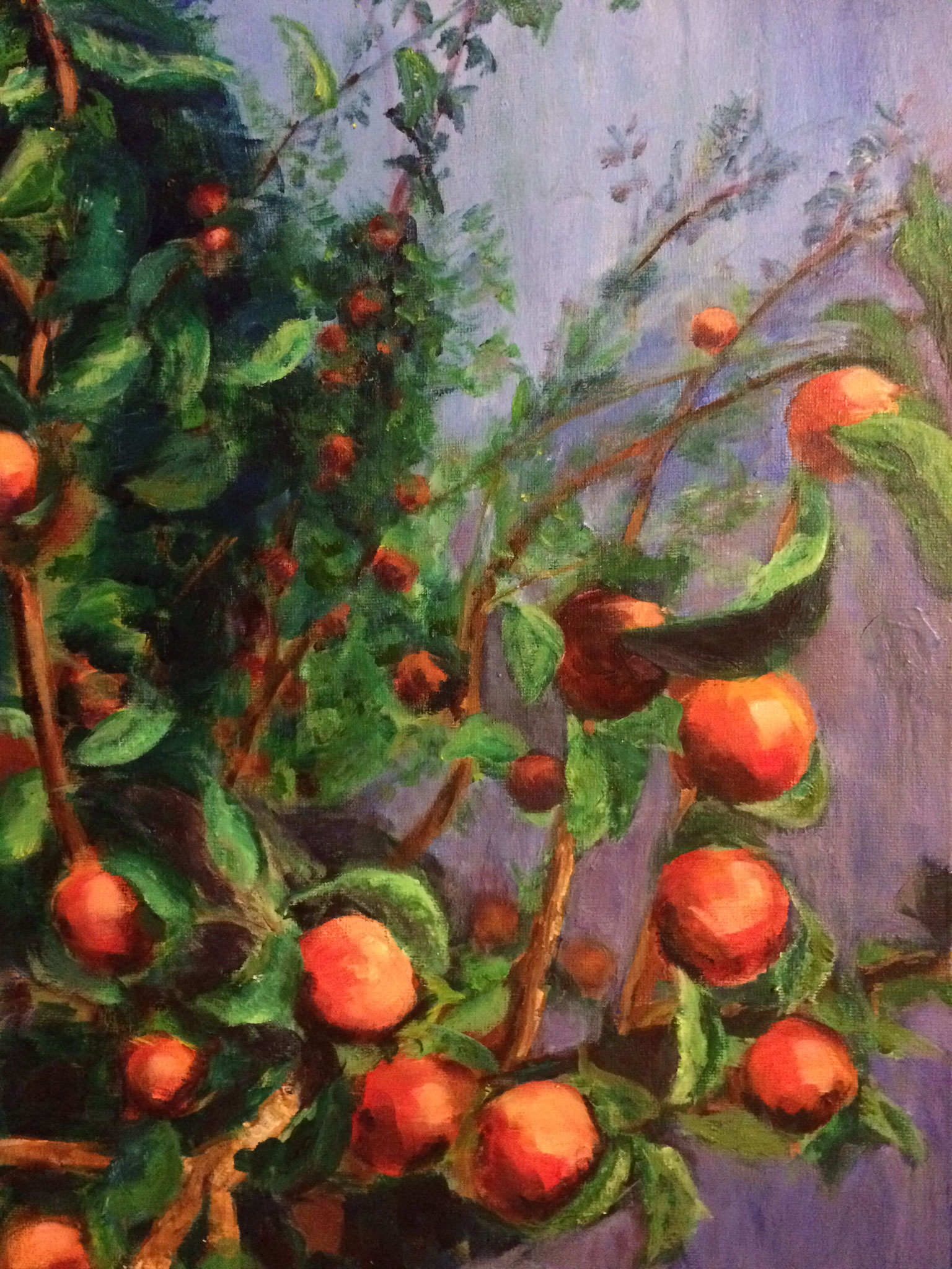 Zwierende oranje appels. 50x70cm. olie op linnen.  