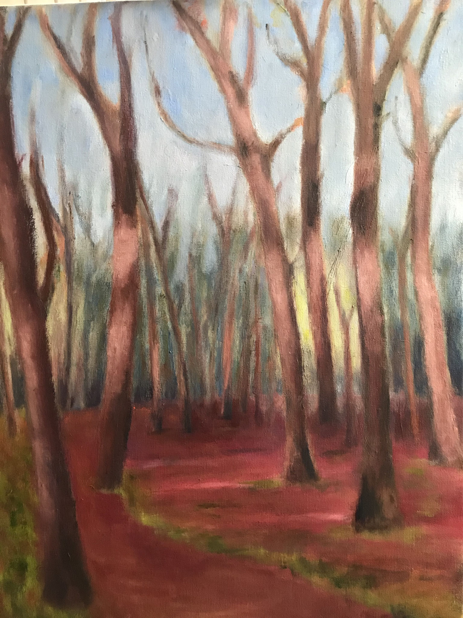 Roze Cronebos. 50x70cm. olie op linnen.