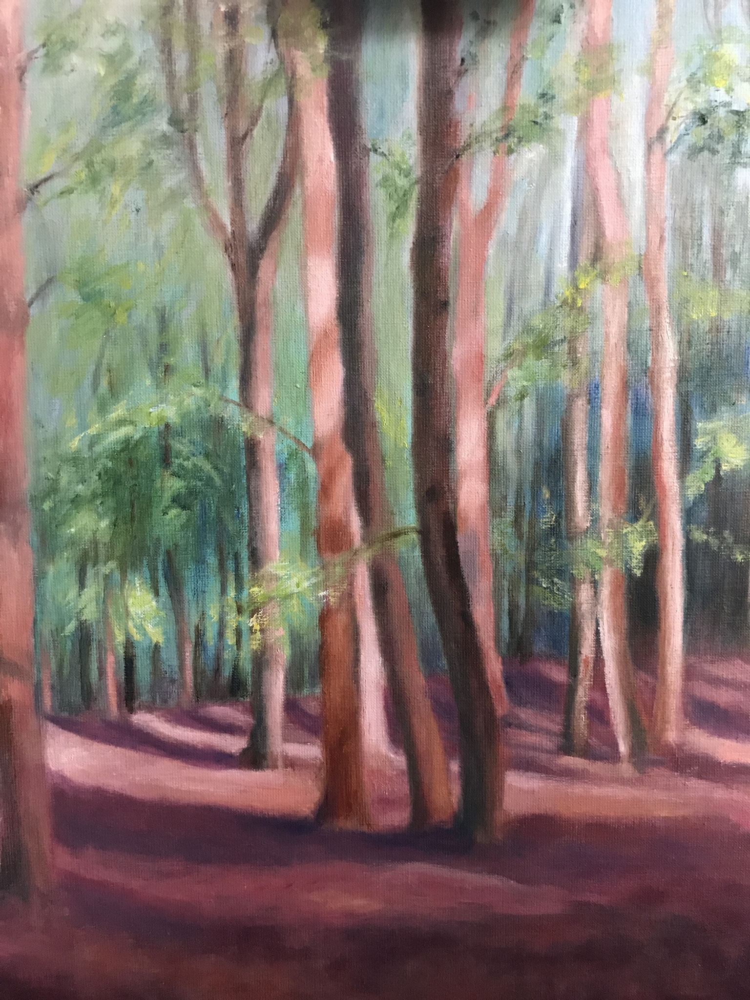 Zomer in Cronebos.50x60cm. olie op linnen. 400 euro.