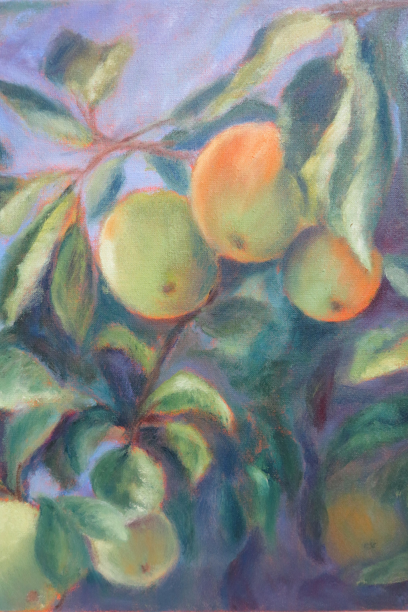 VERKOCHT appels in paars III. 40x50cm olie op linnen. 