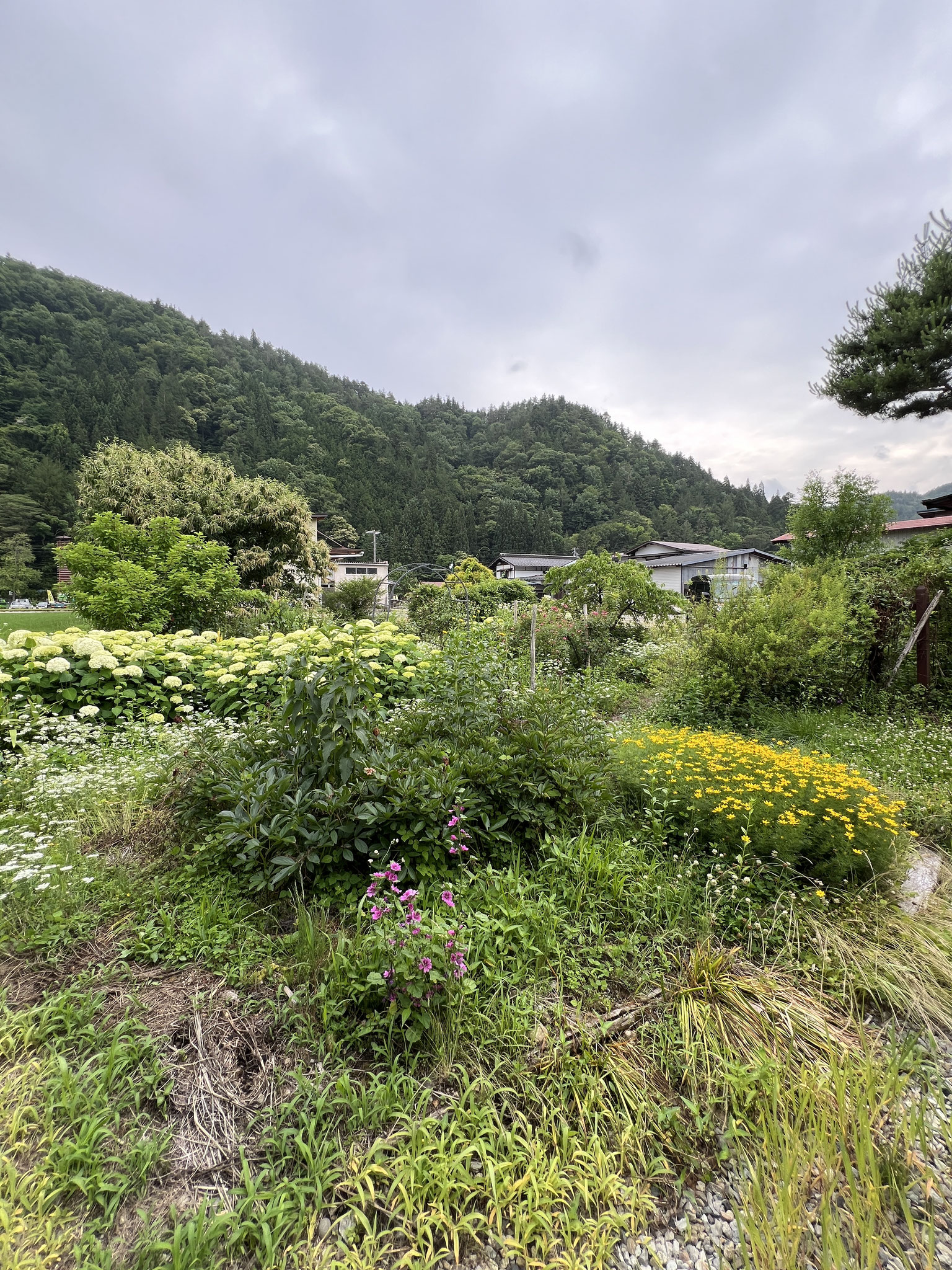 detached 朝日町万石