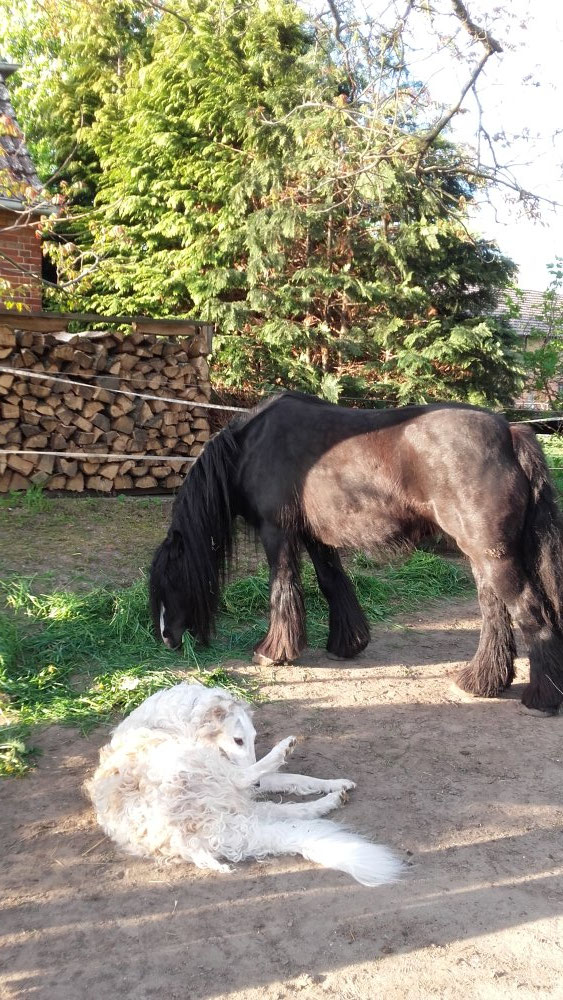 Igor und seine Freundin Sharon