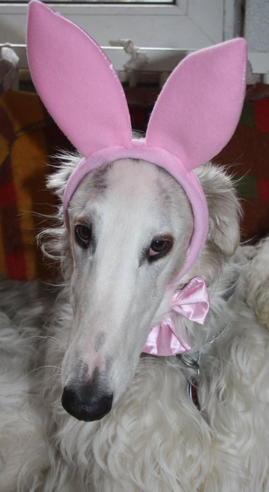 Frohe Ostern!
