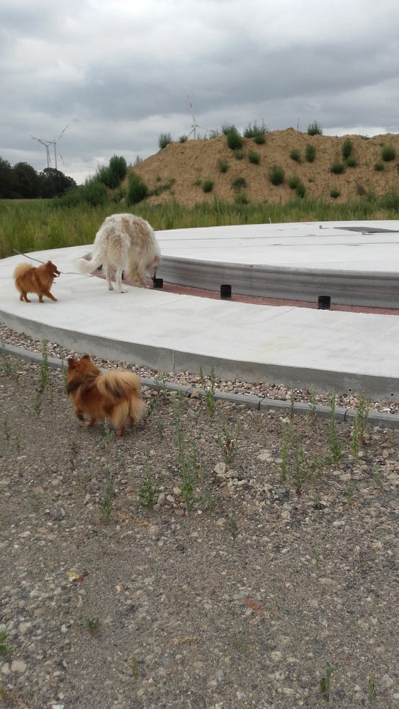 Ein UFO???