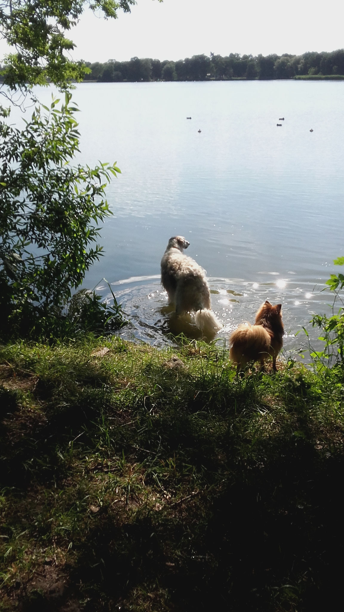 Am Wockersee, Parchim